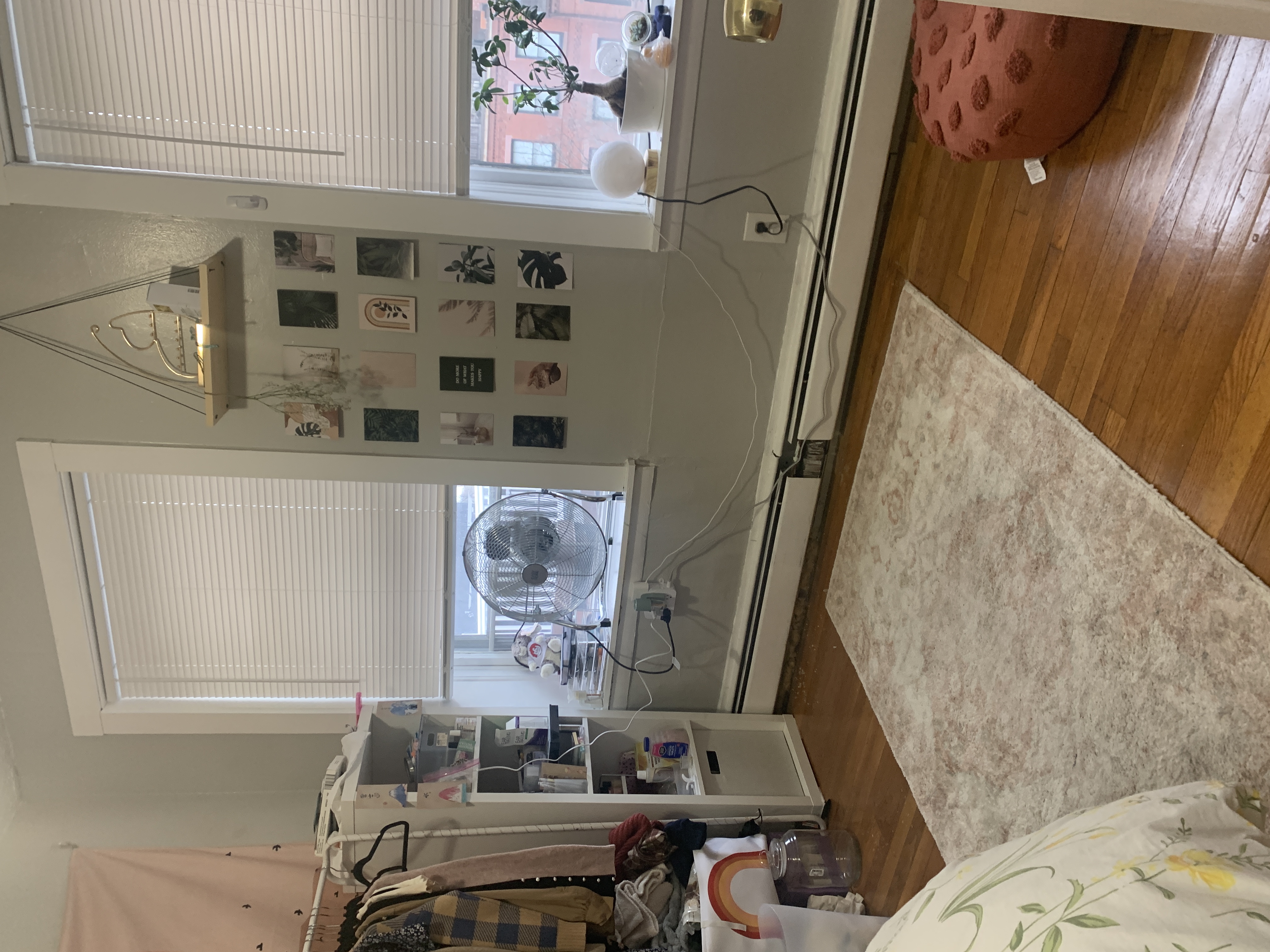 38 Gardent St, Beacon Hill