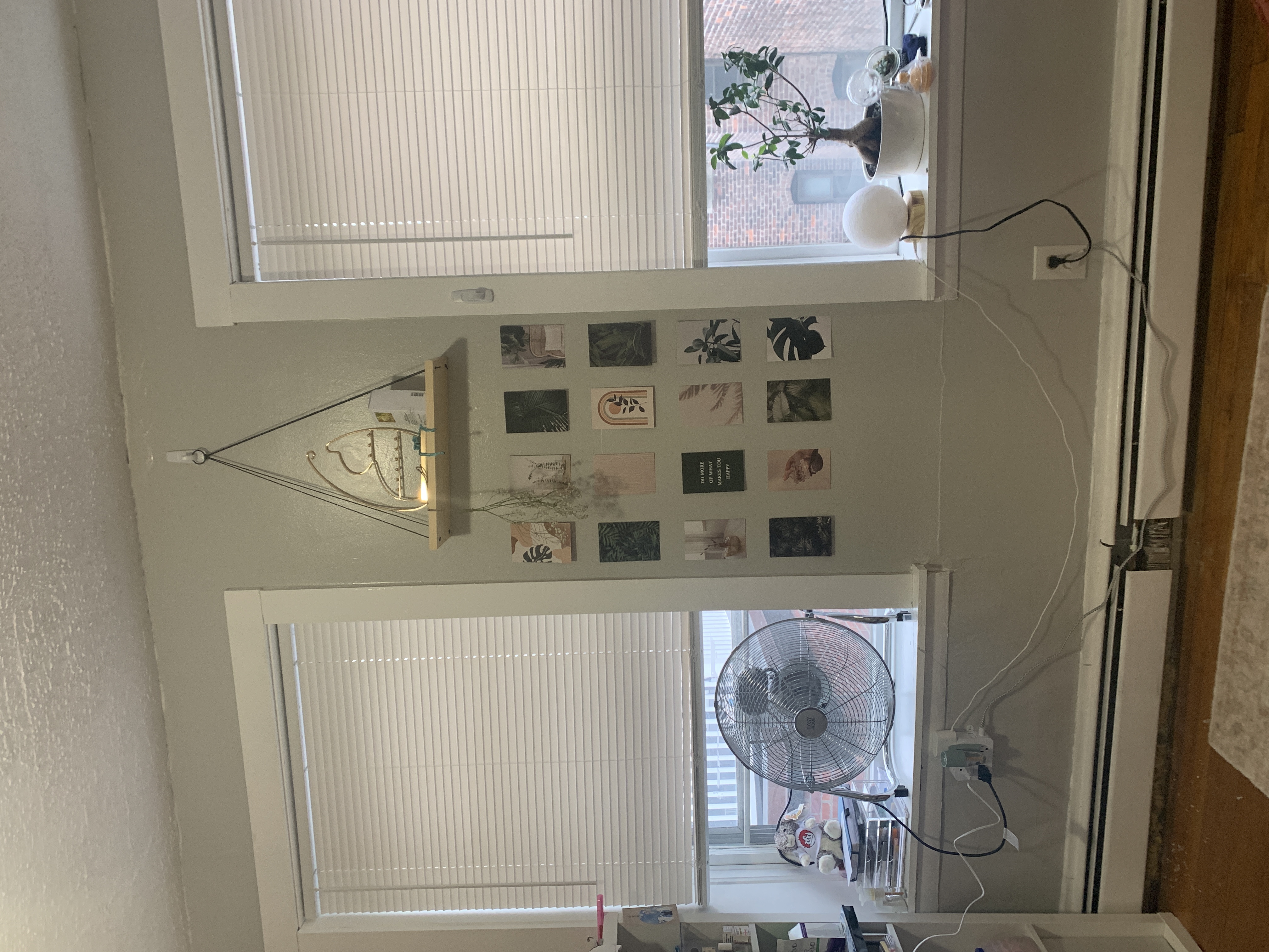 38 Gardent St, Beacon Hill