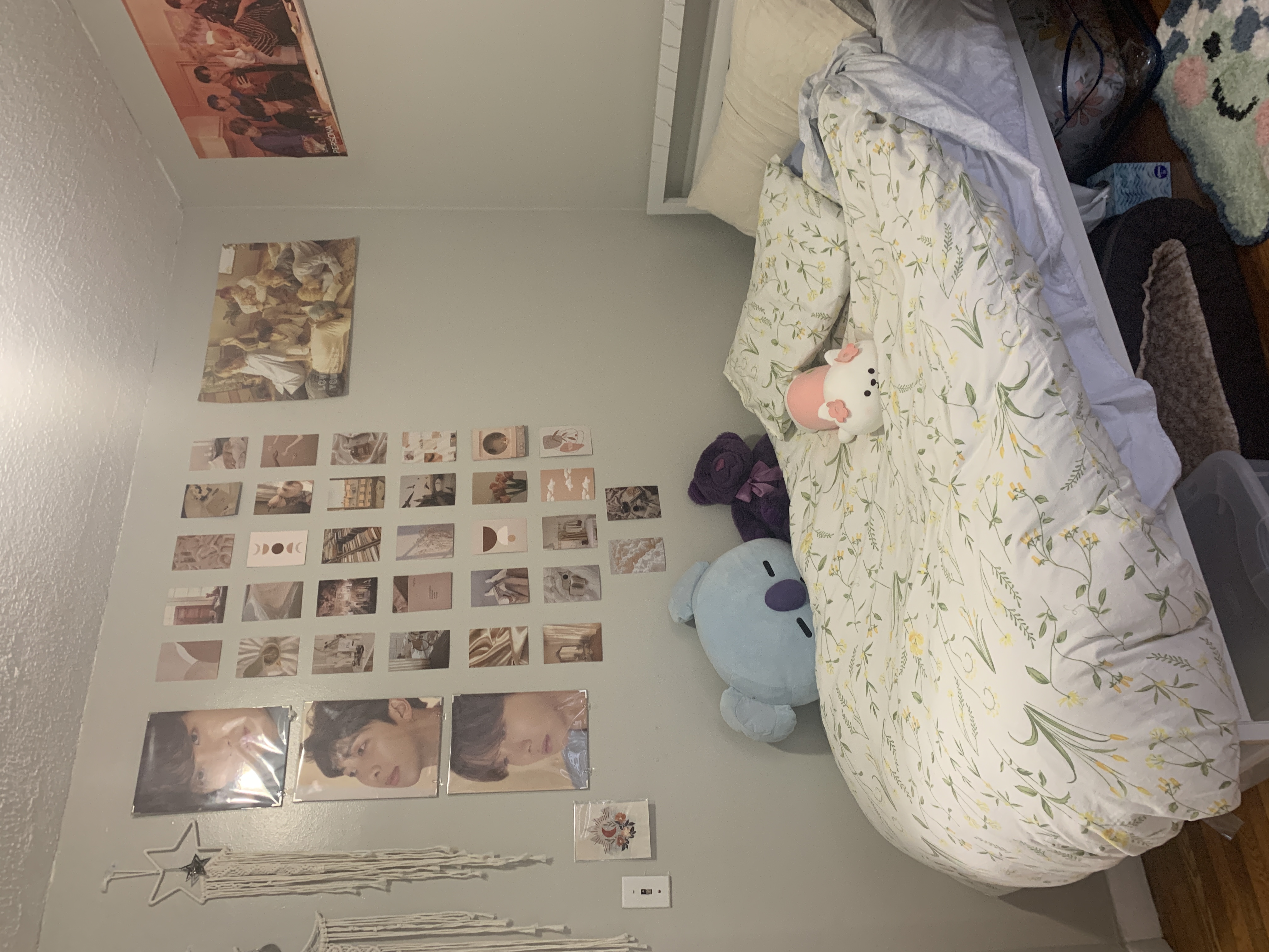 38 Gardent St, Beacon Hill