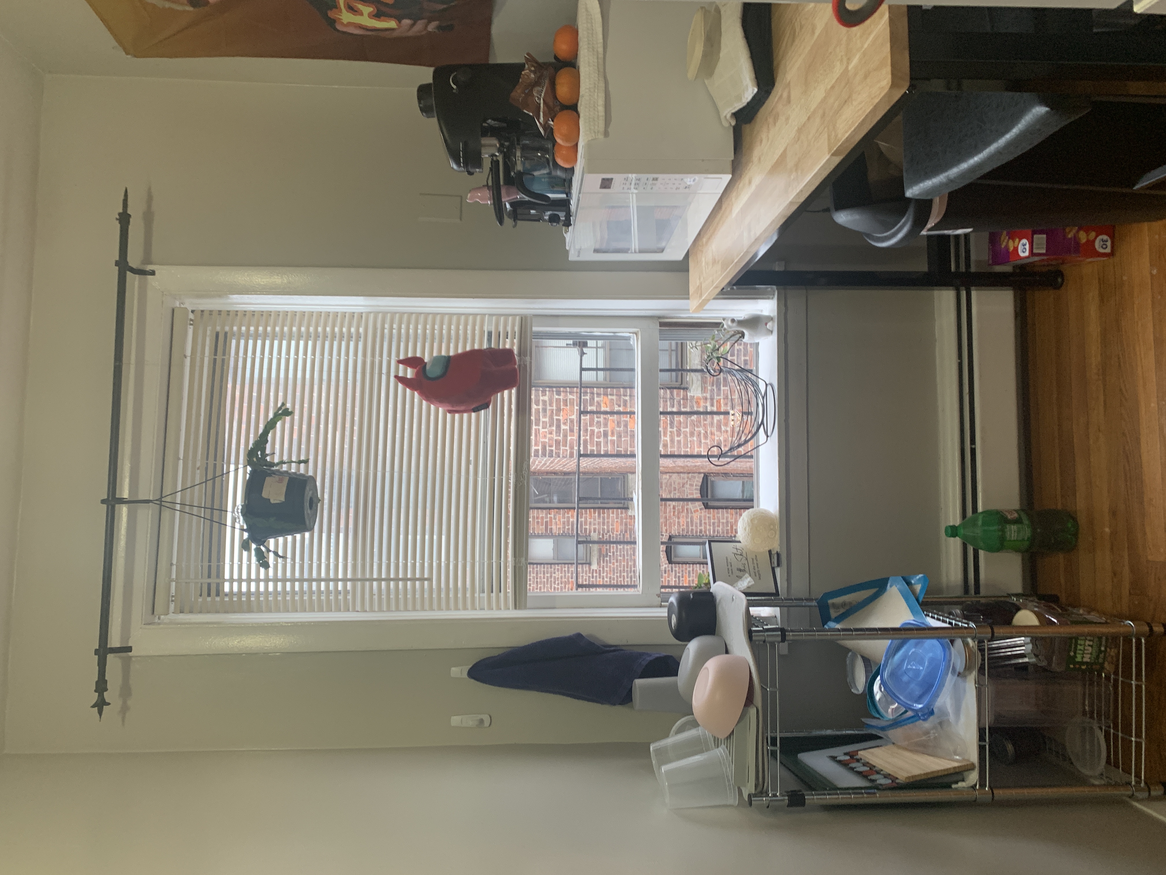 38 Gardent St, Beacon Hill