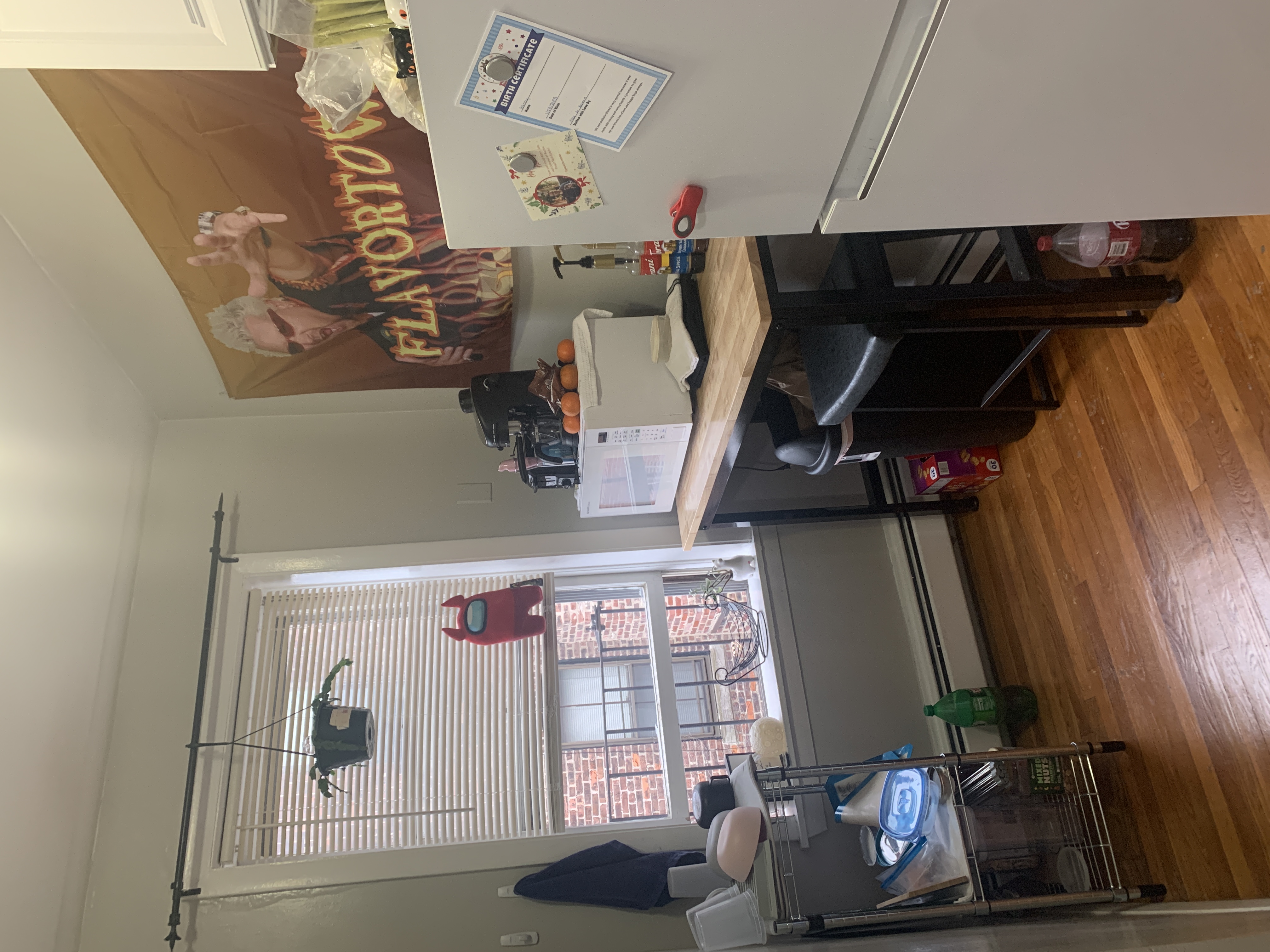 38 Gardent St, Beacon Hill