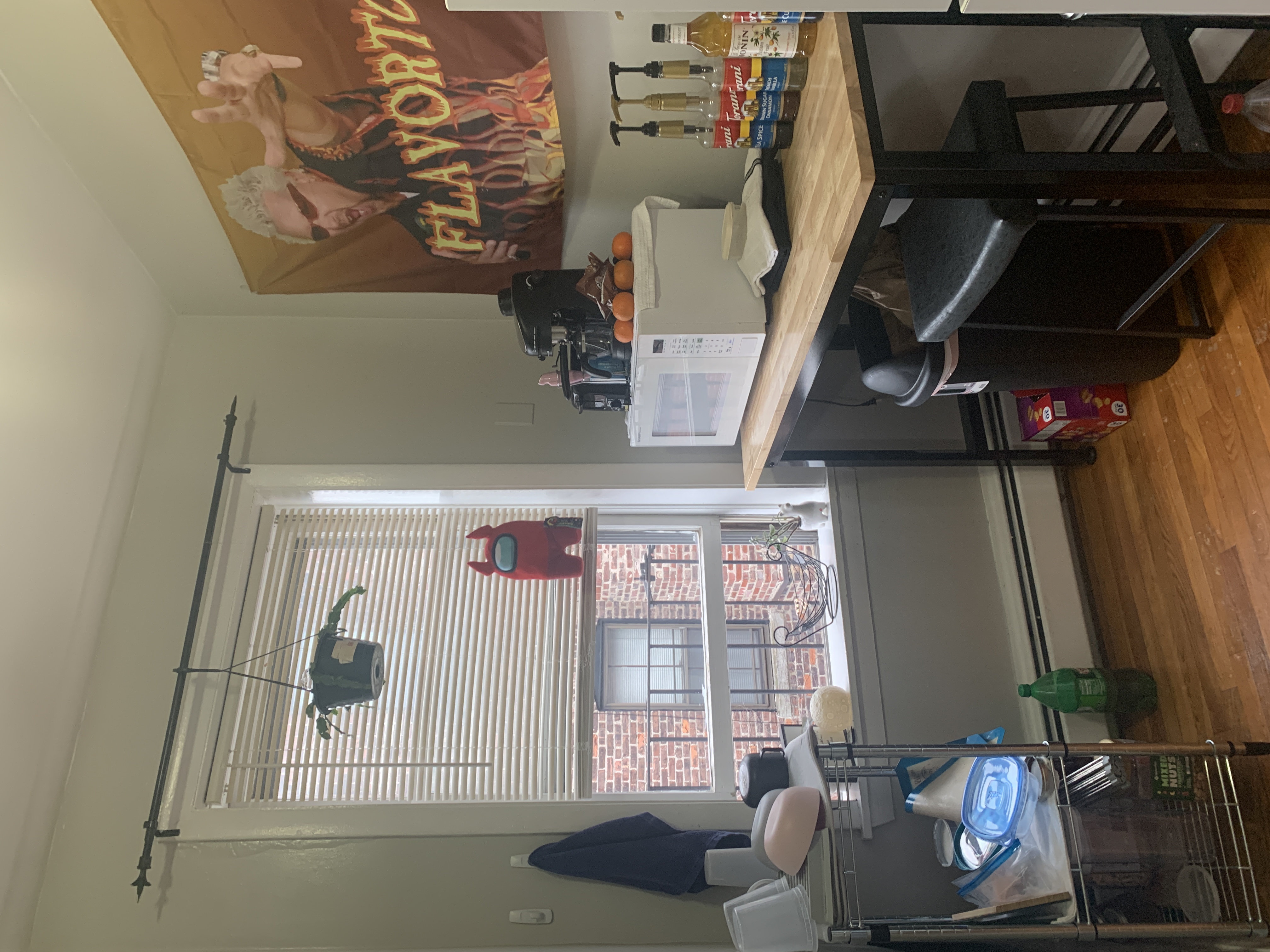 38 Gardent St, Beacon Hill