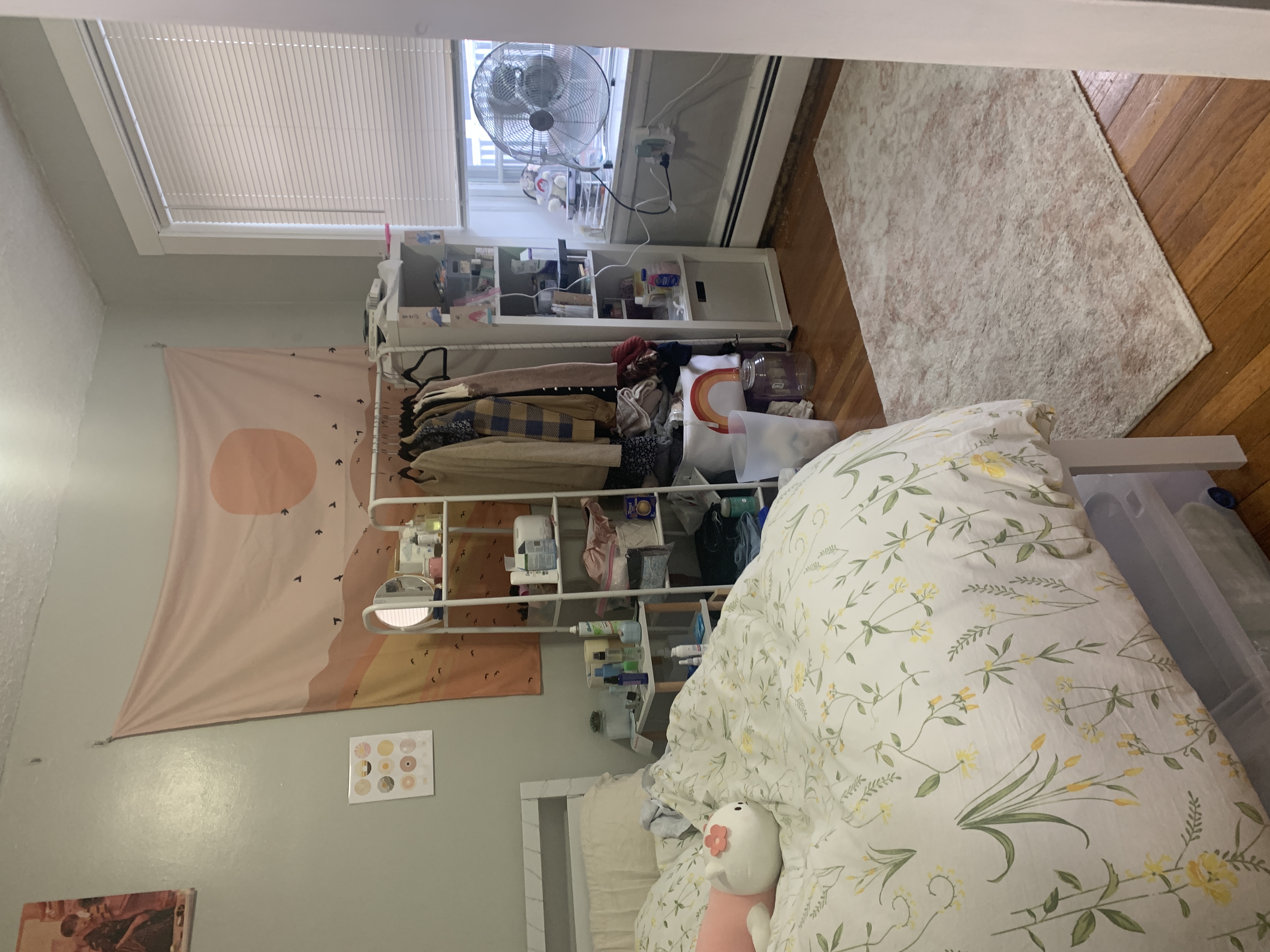 38 Gardent St, Beacon Hill