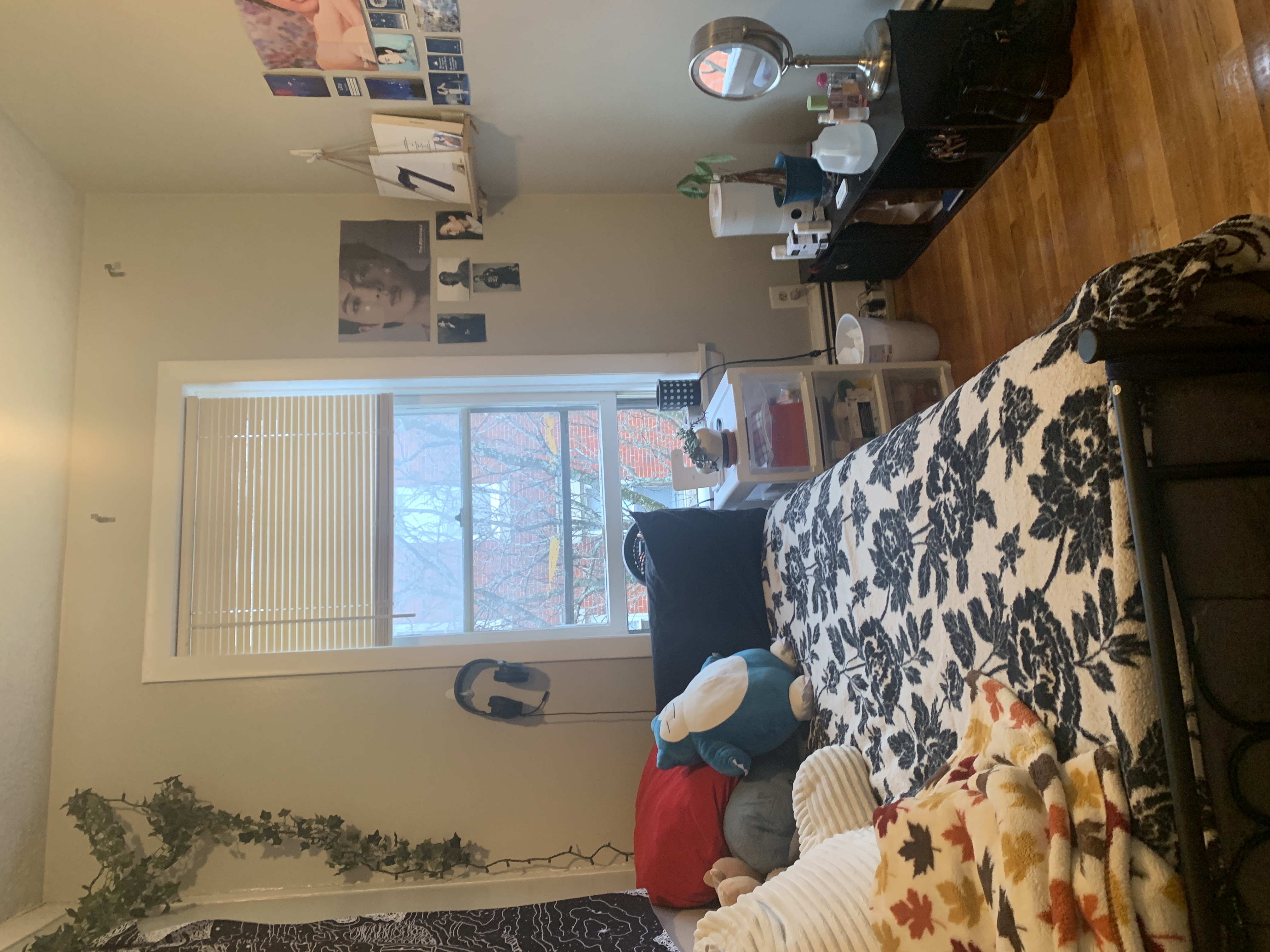 38 Gardent St, Beacon Hill