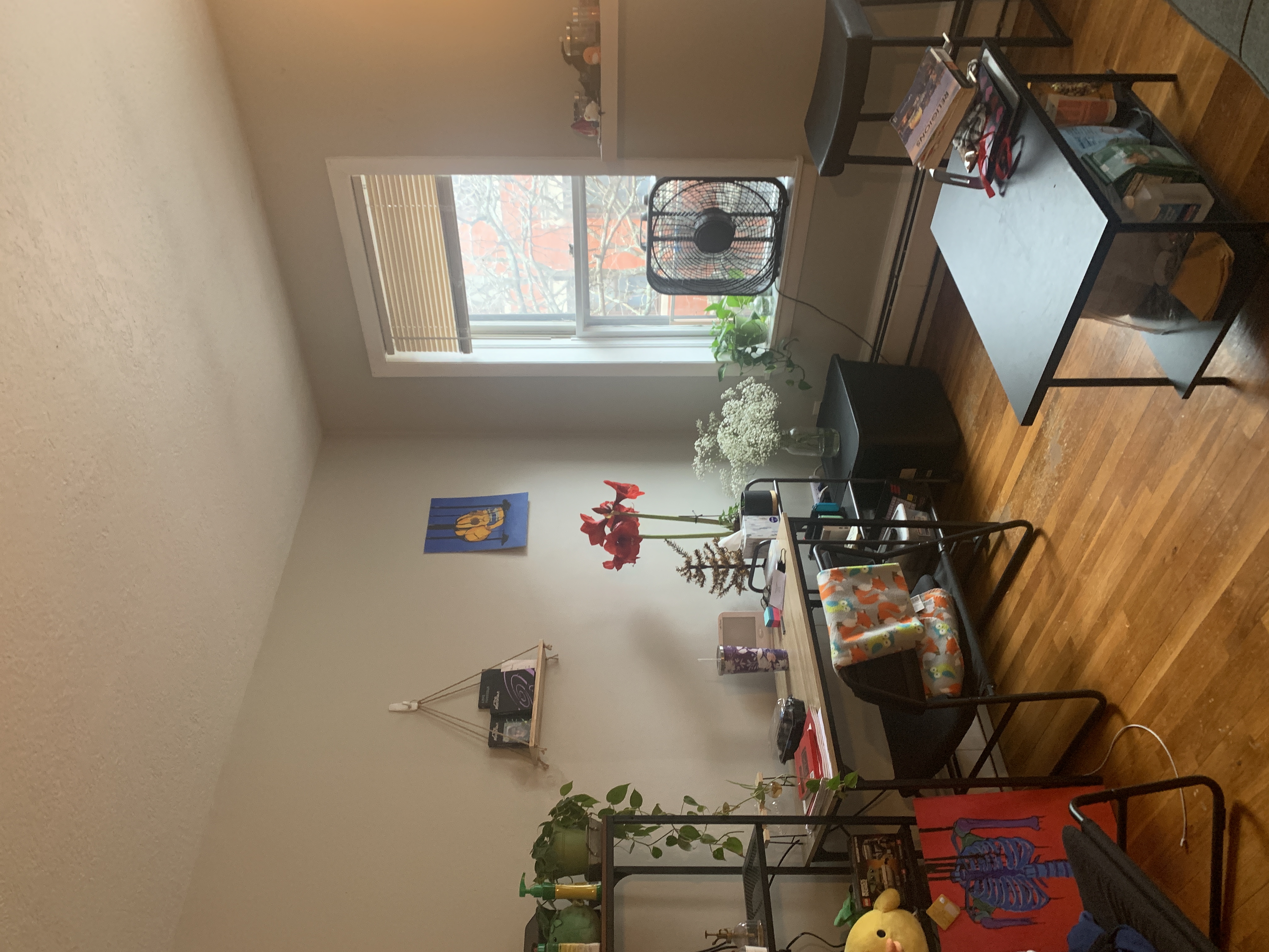 38 Gardent St, Beacon Hill