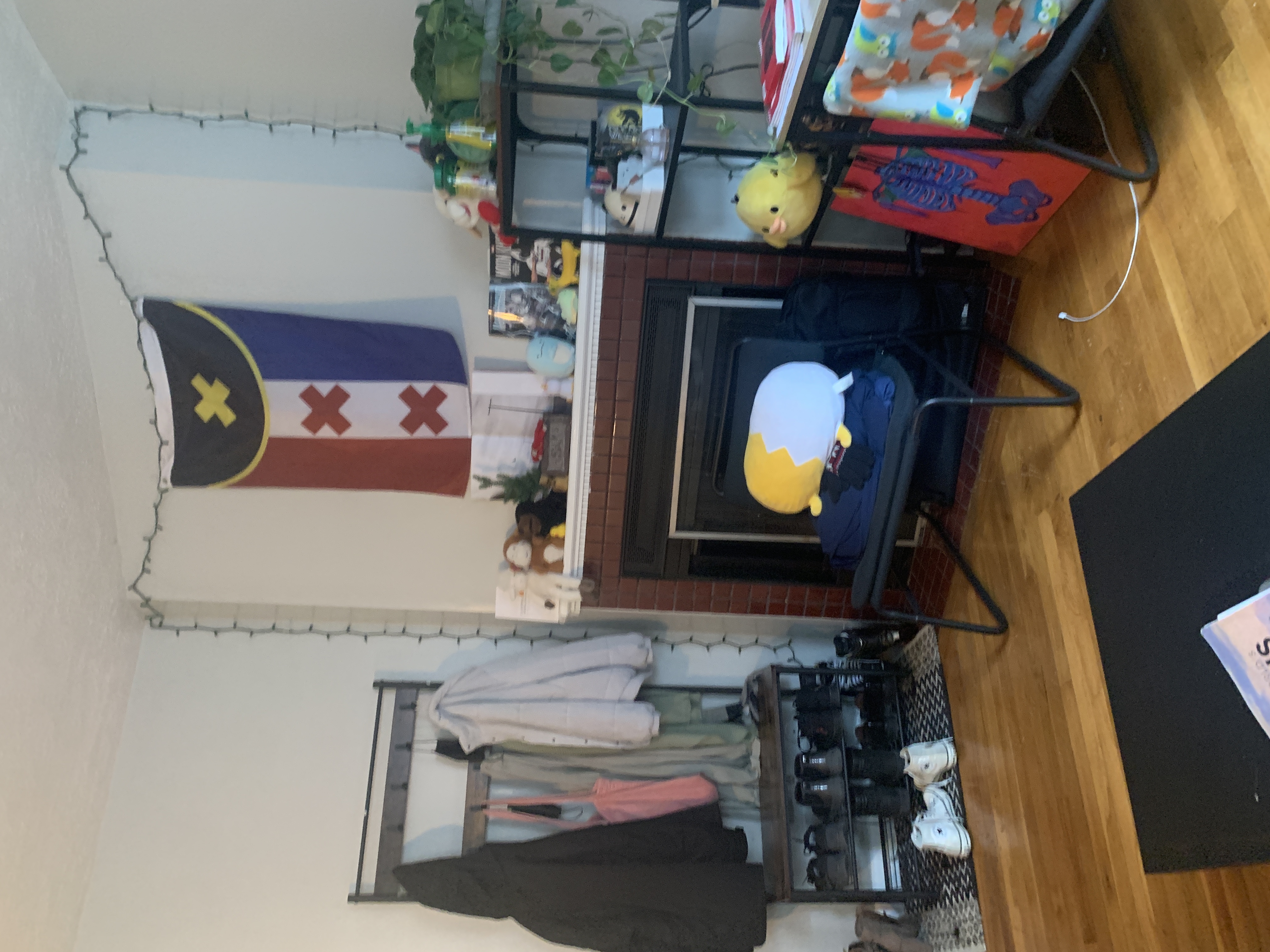 38 Gardent St, Beacon Hill