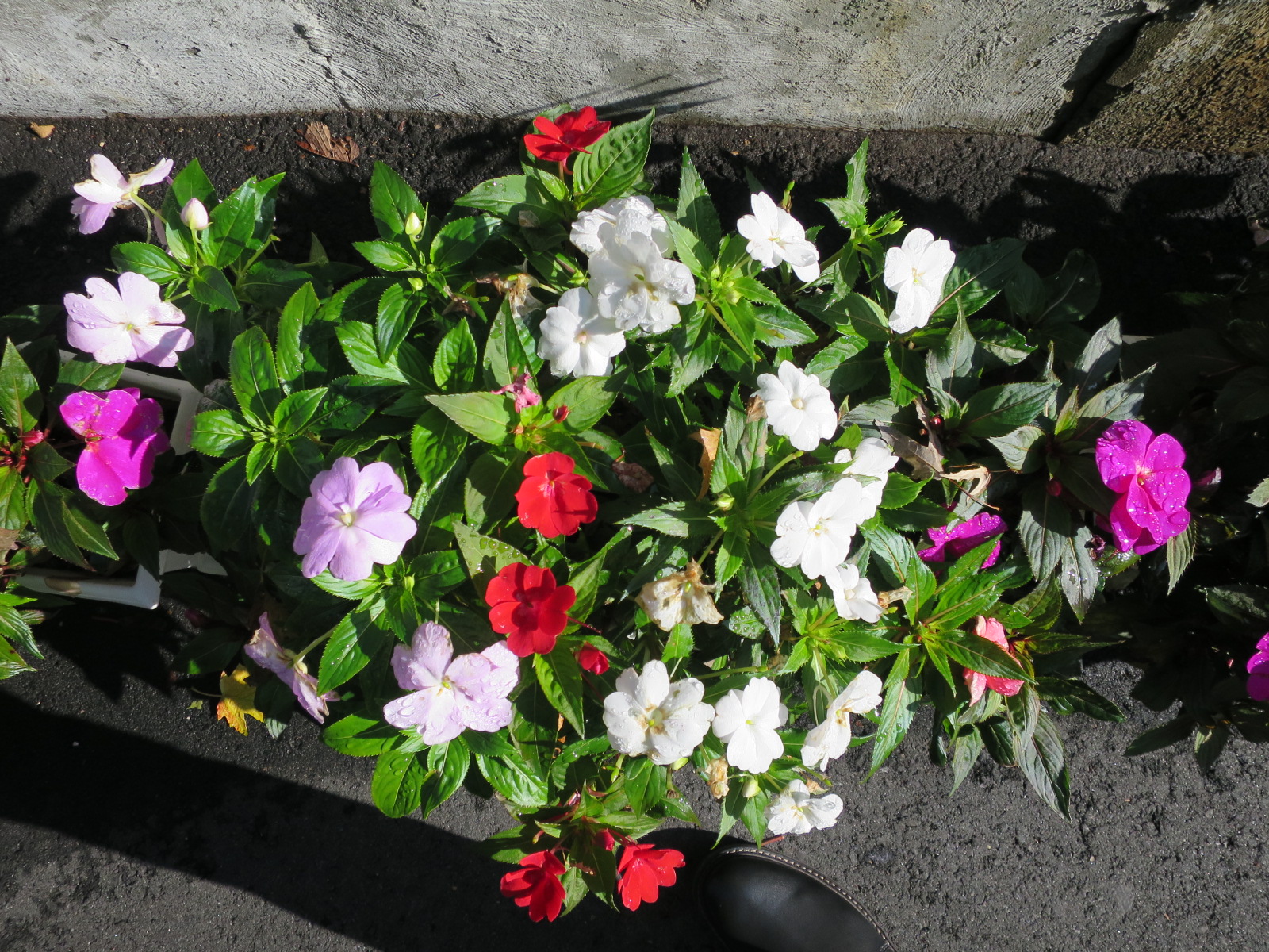 21 Franklin St, East Somerville