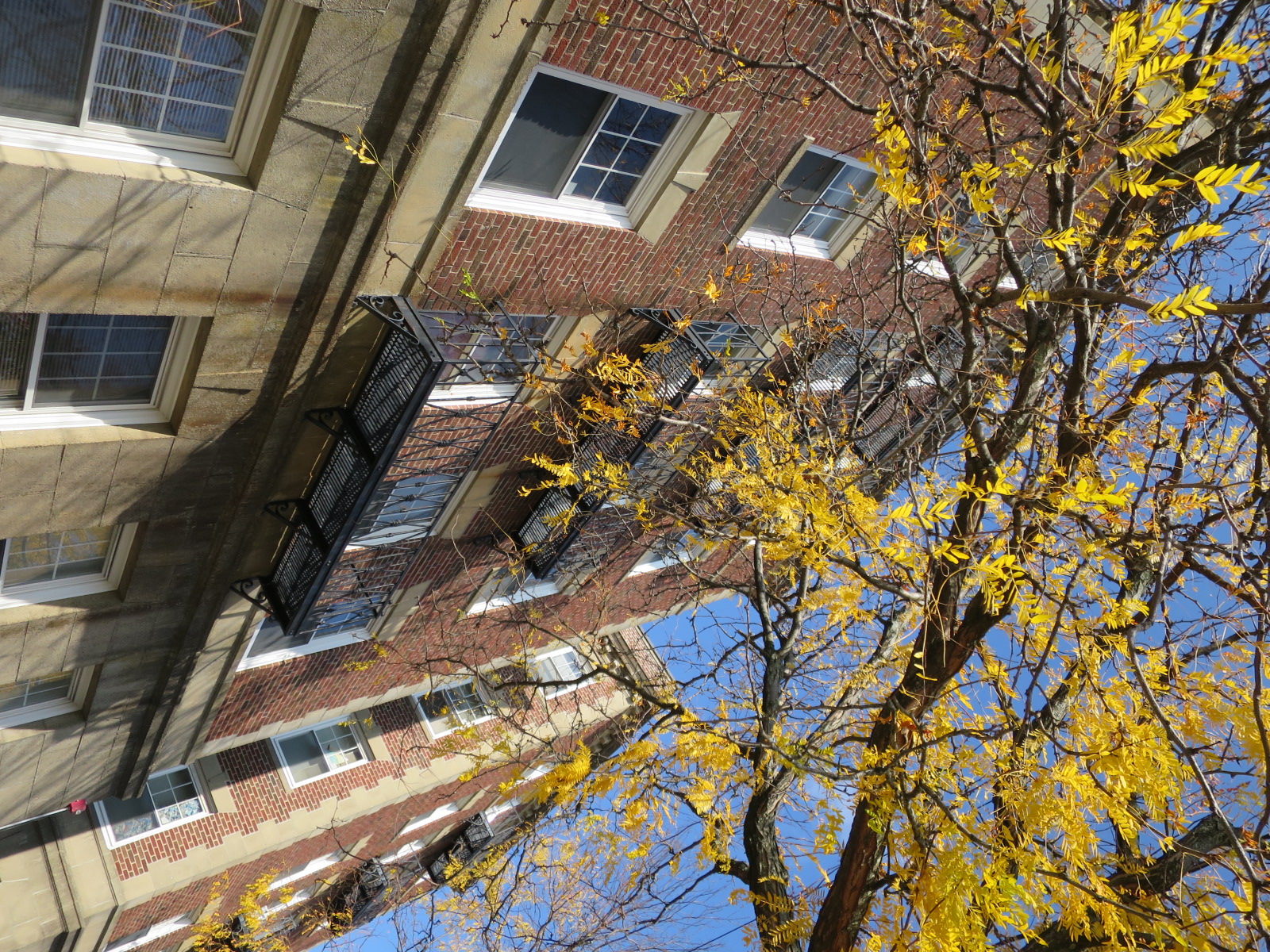 36 College Ave, Davis Square