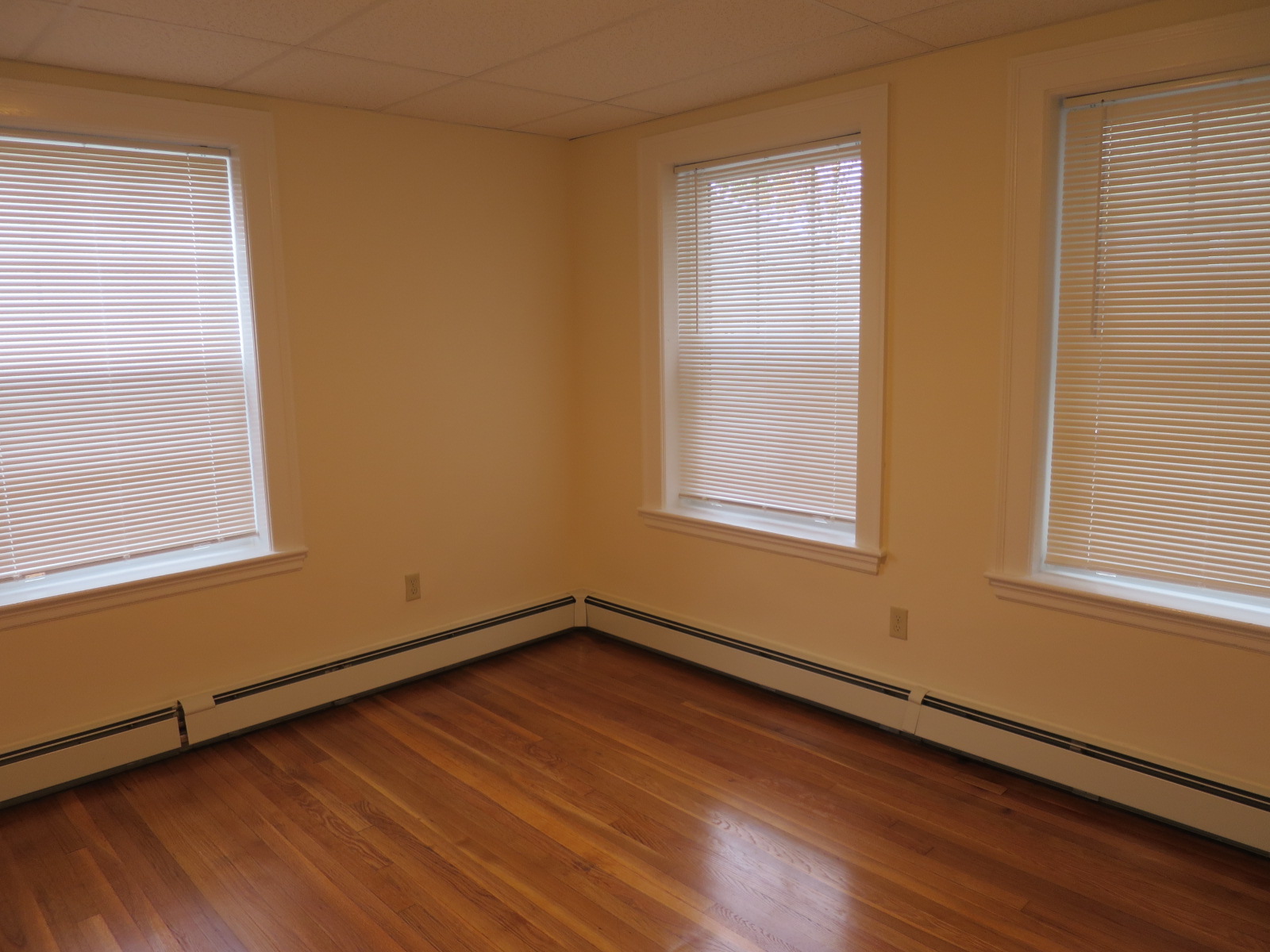 36 College Ave, Davis Square