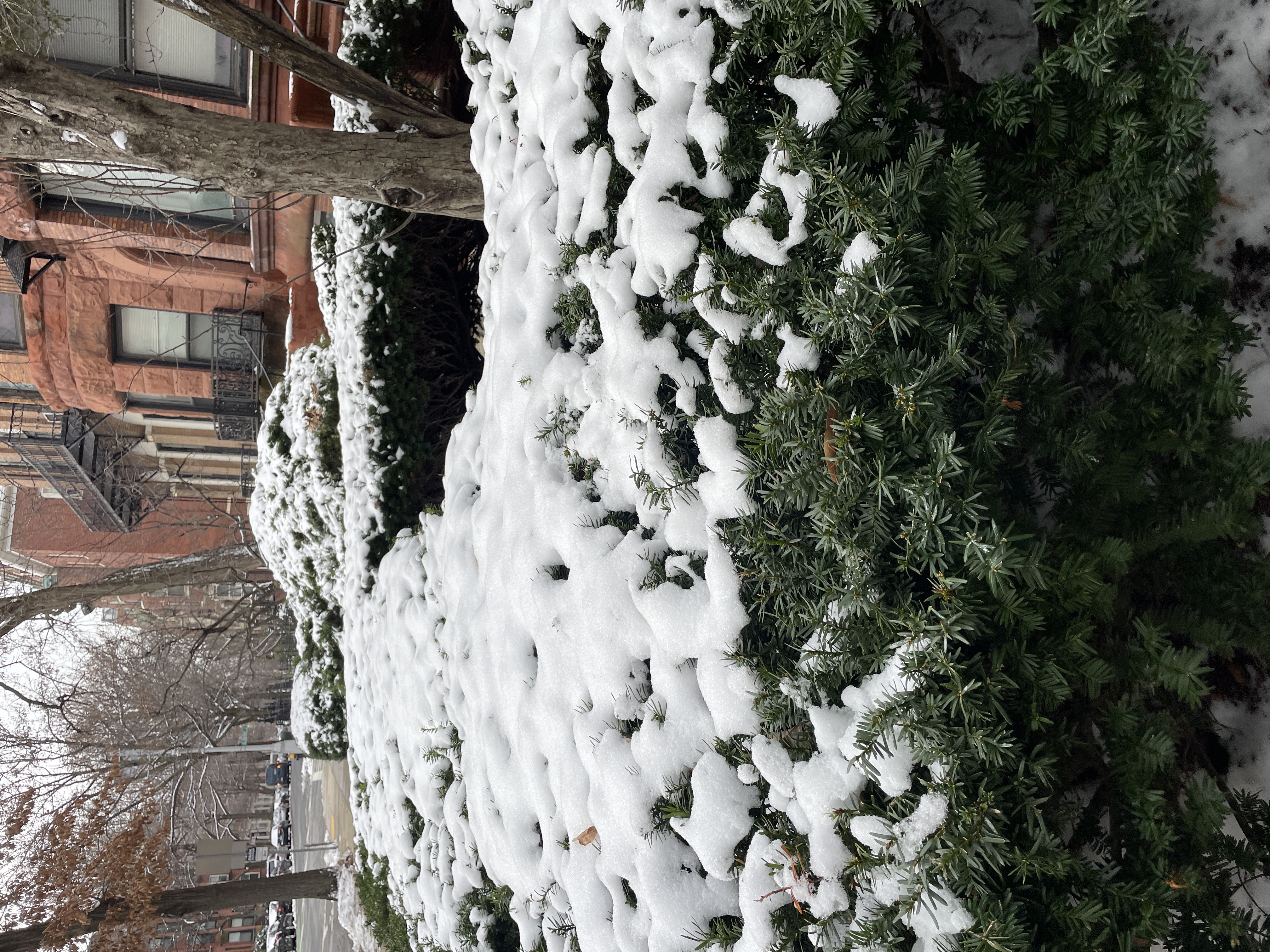 43 Bay State Rd, Fenway