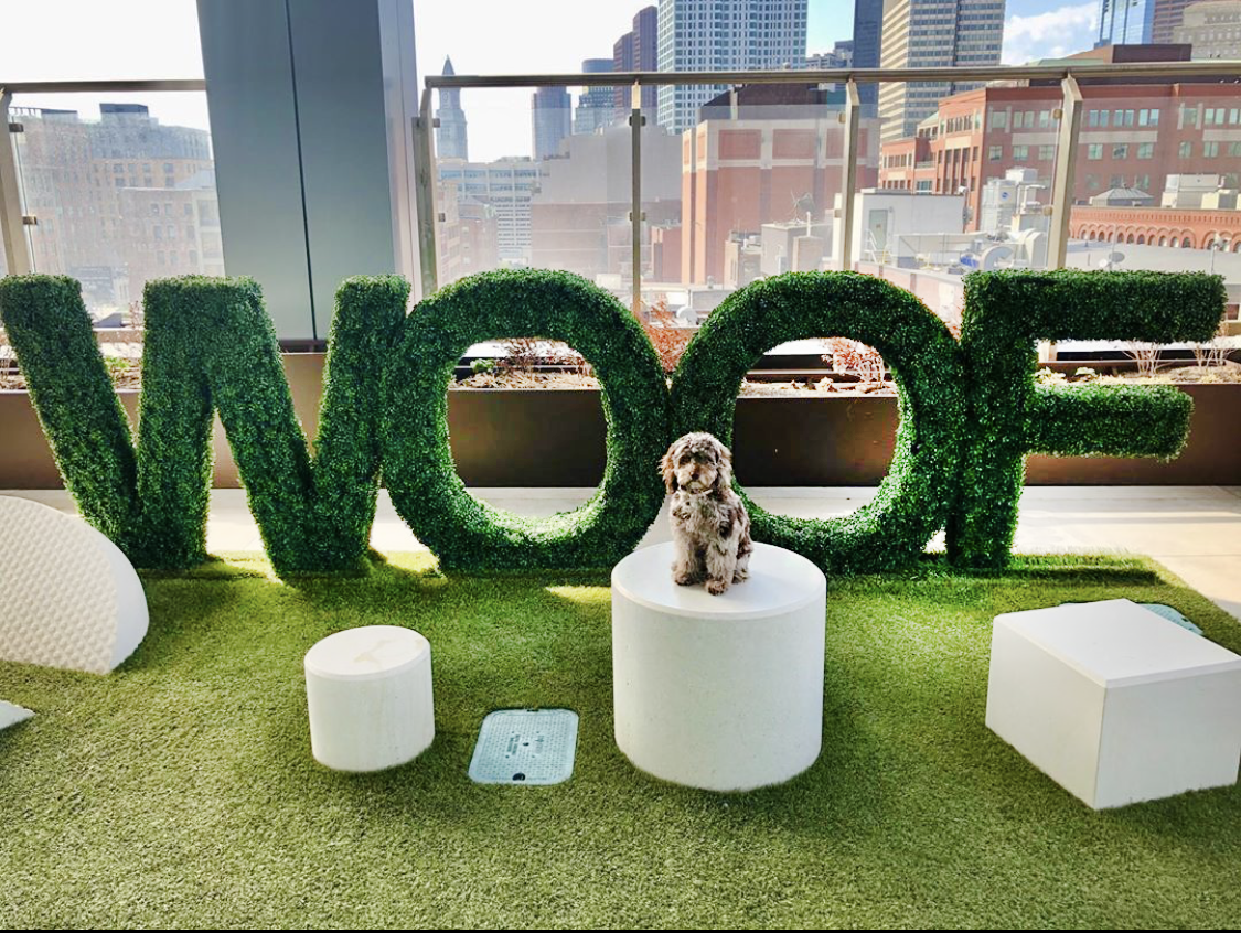 50 Causeway St, North End