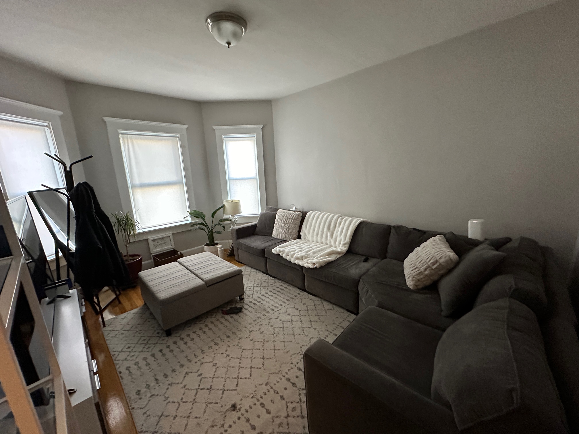 21 Roseclair St, Dorchester