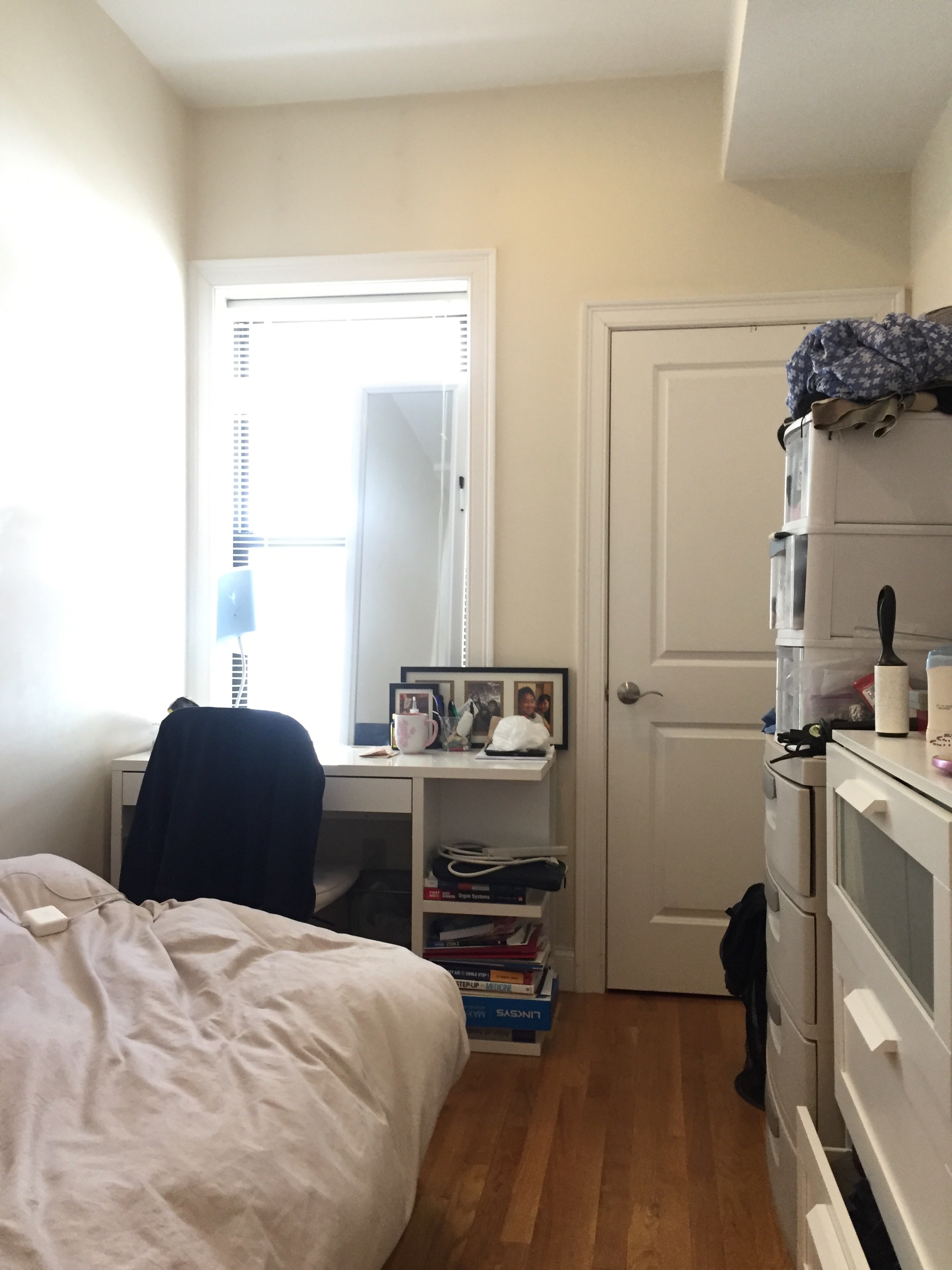 36 Harrison Ave, Chinatown