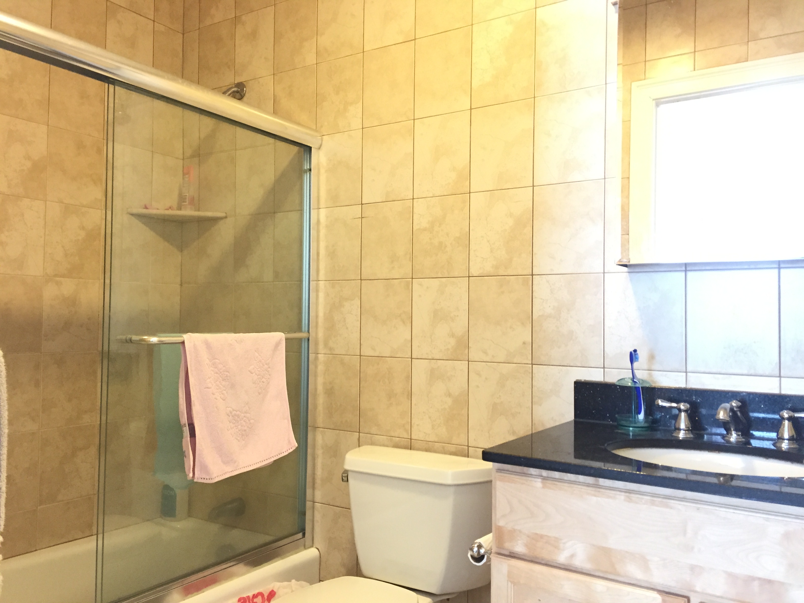 36 Harrison Ave, Chinatown