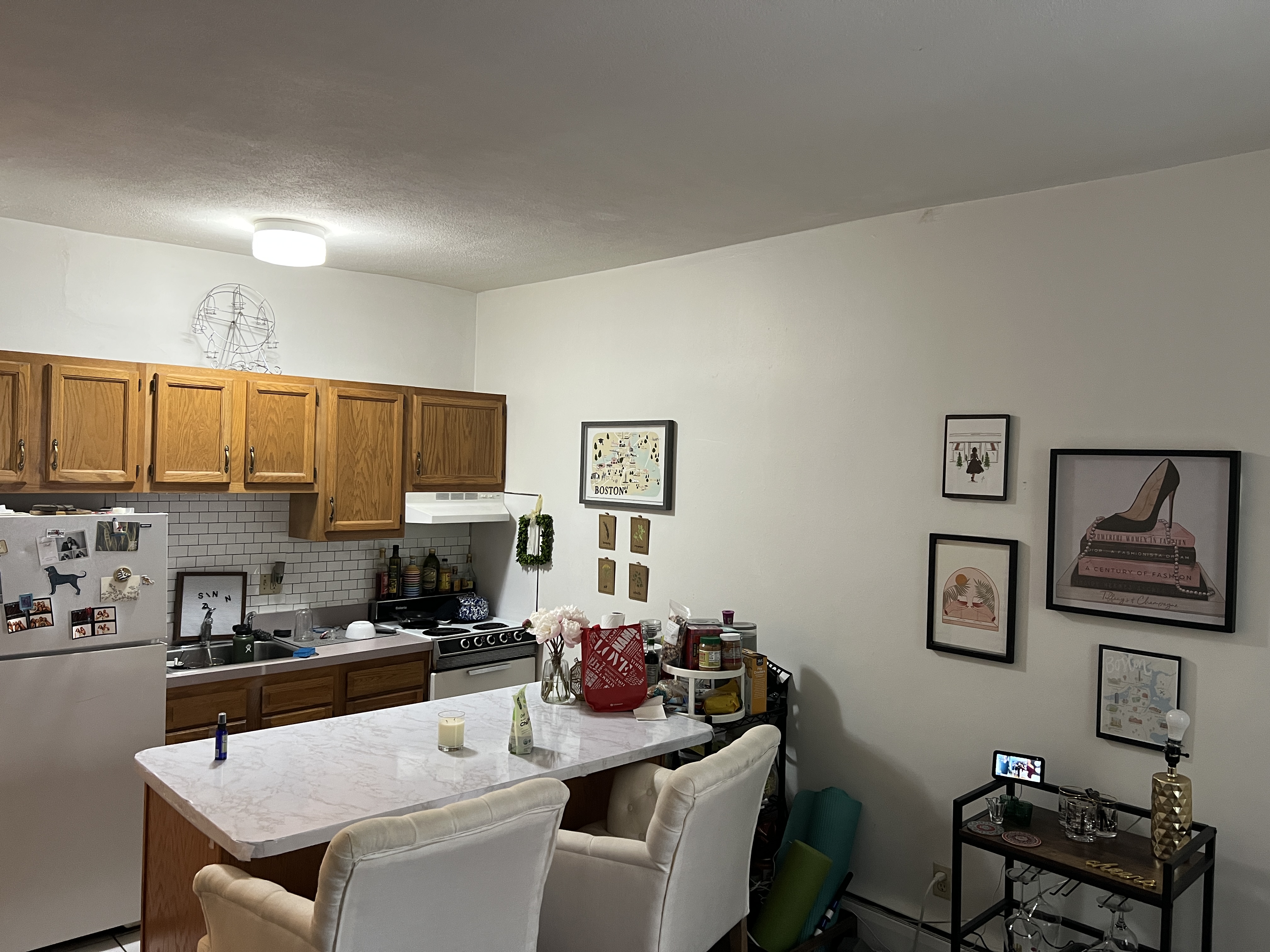 41 E Springfield, South End