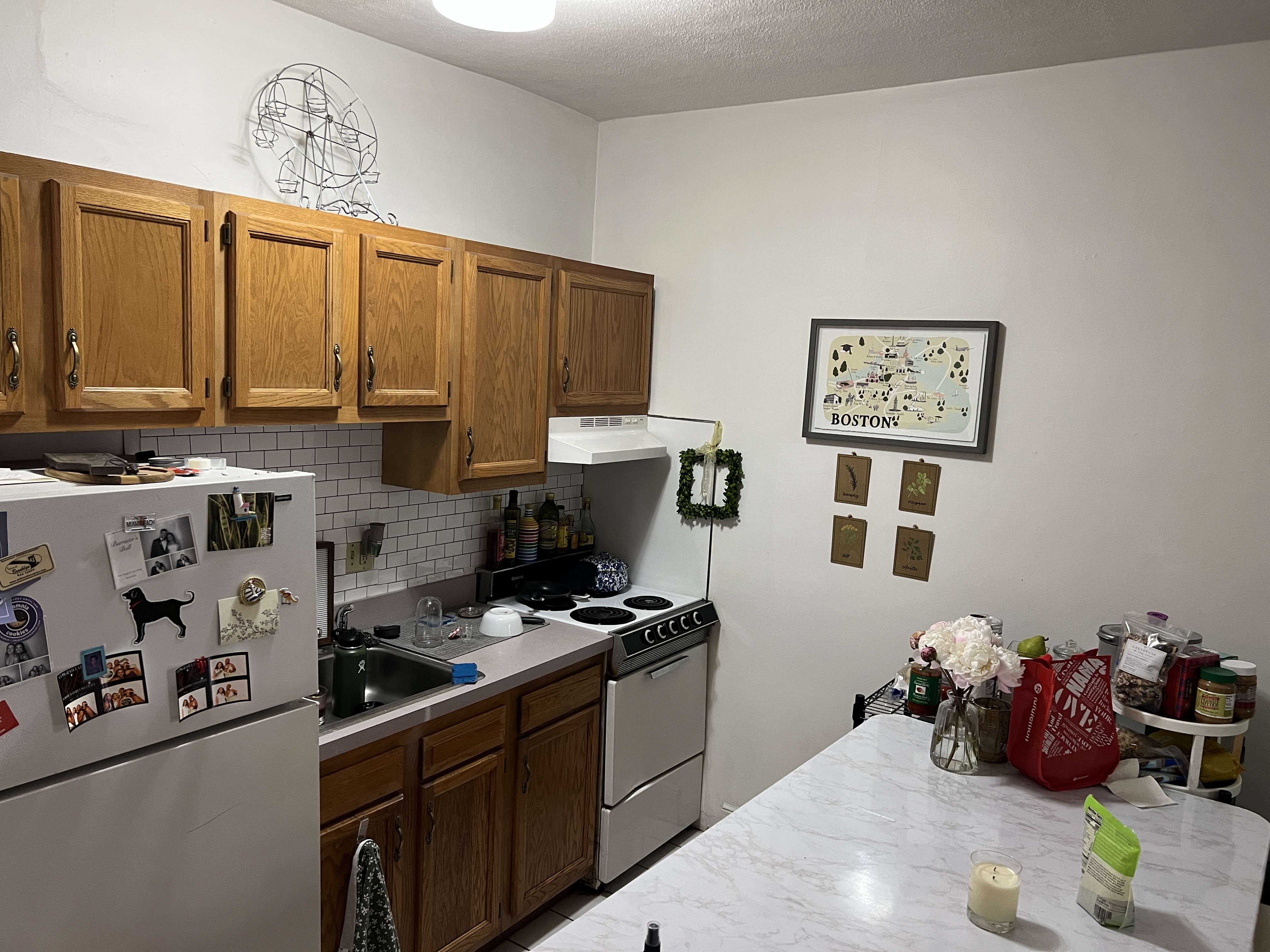 41 E Springfield, South End