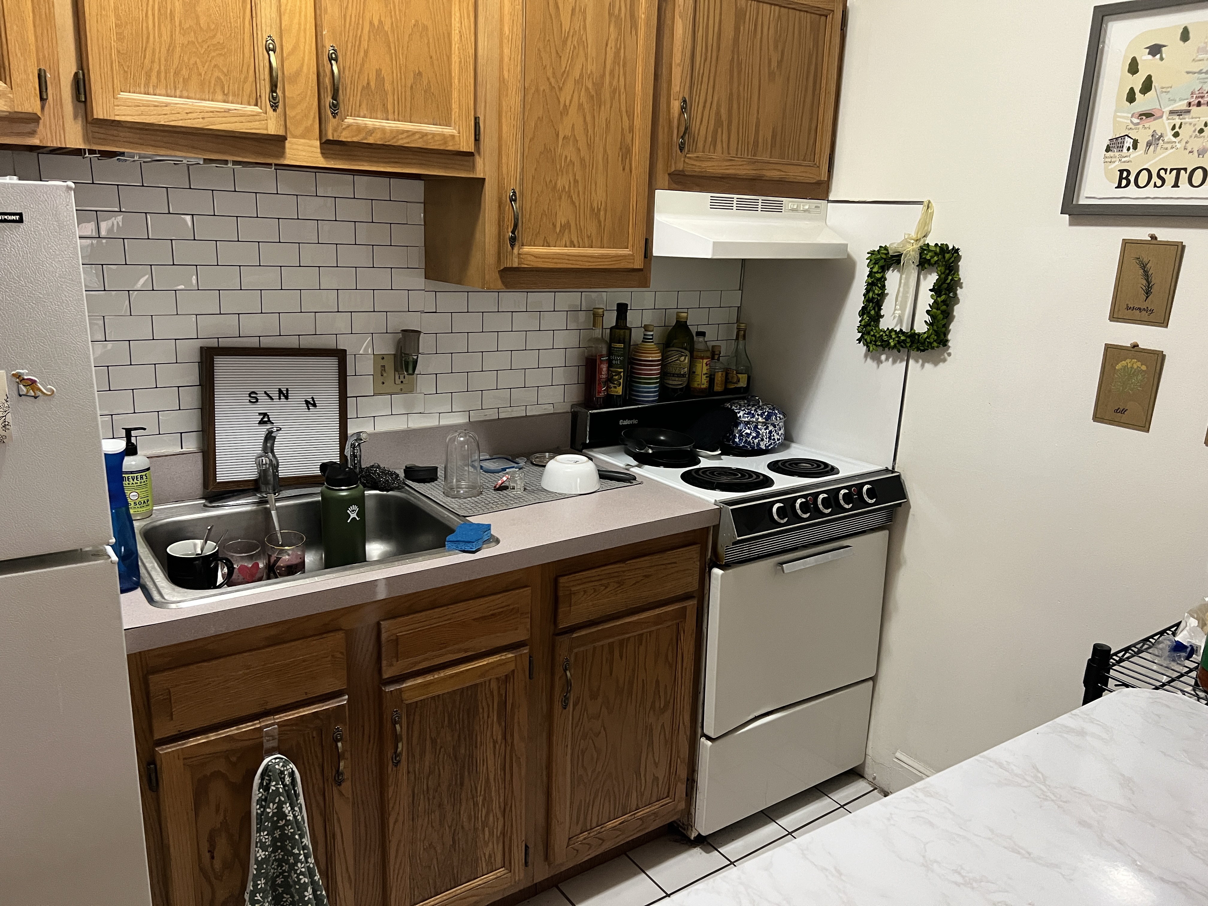 41 E Springfield, South End