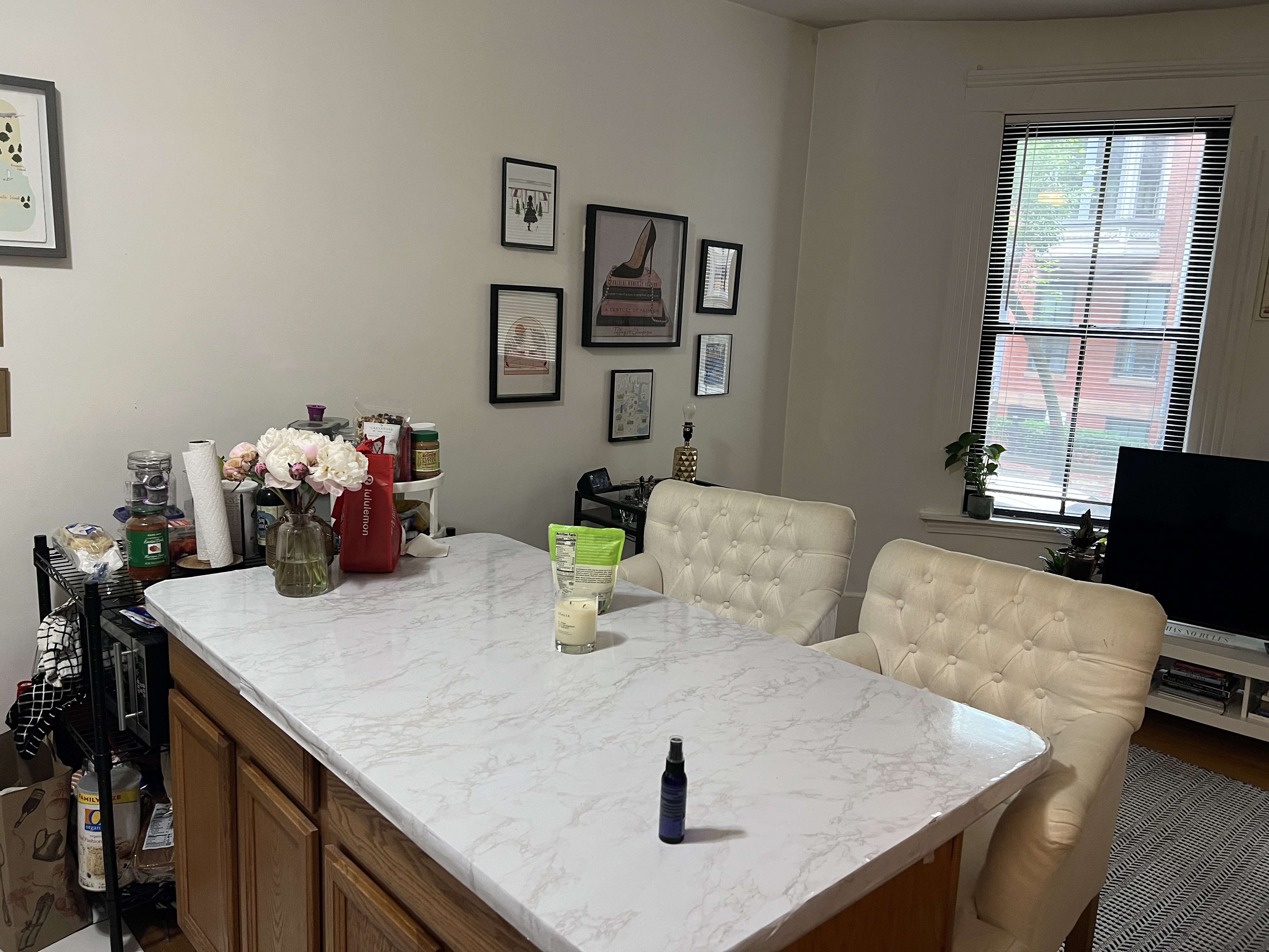 41 E Springfield, South End