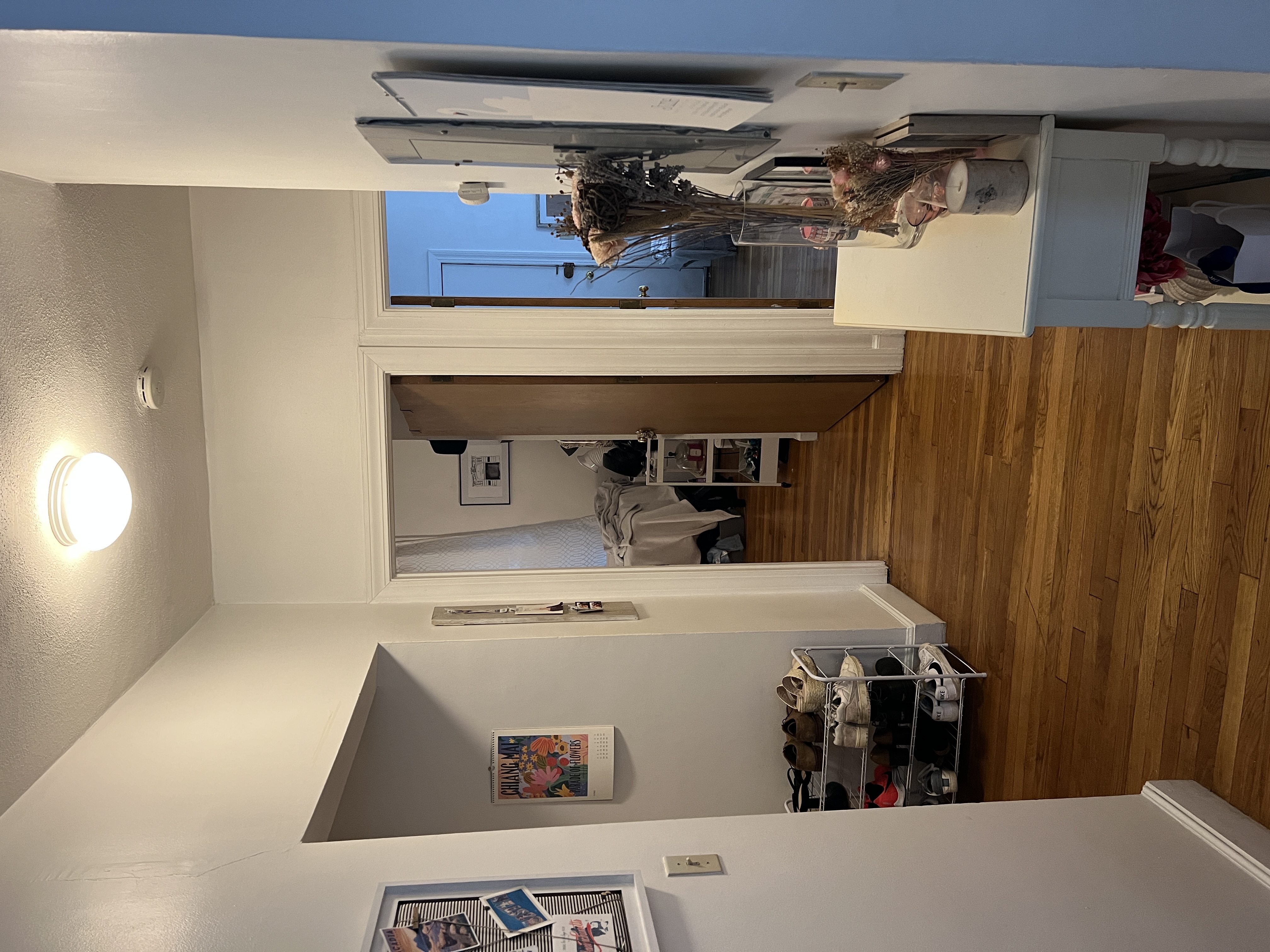 41 E Springfield, South End