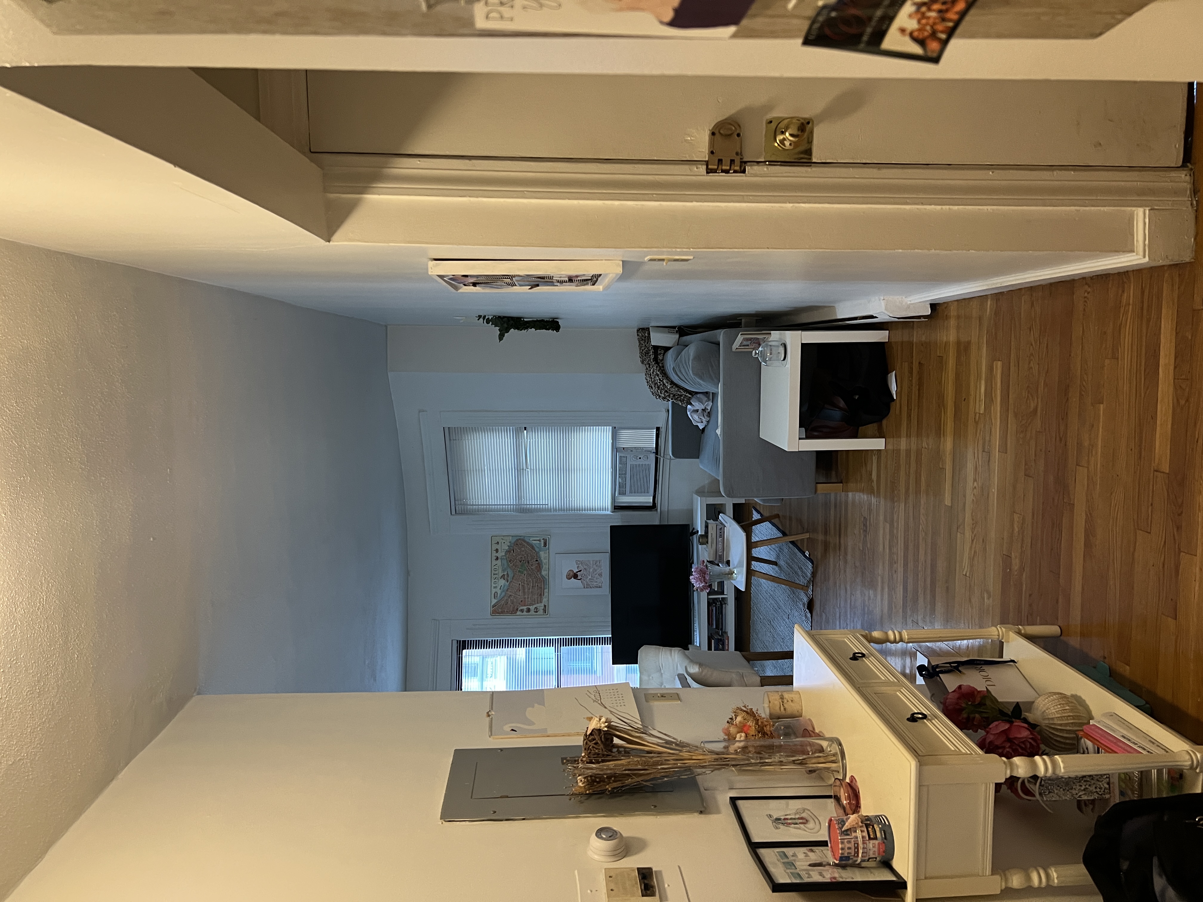 41 E Springfield, South End