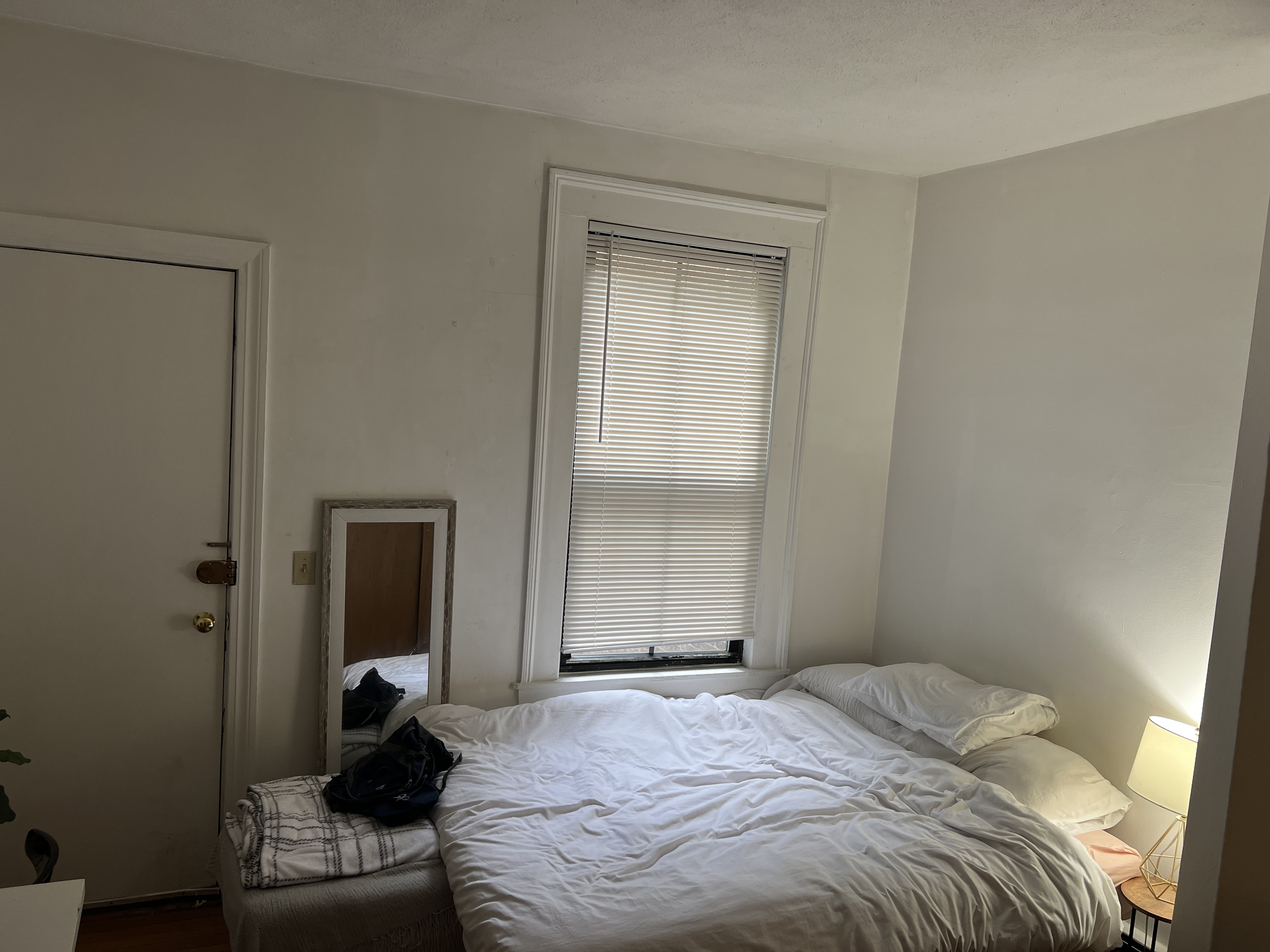 41 E Springfield, South End