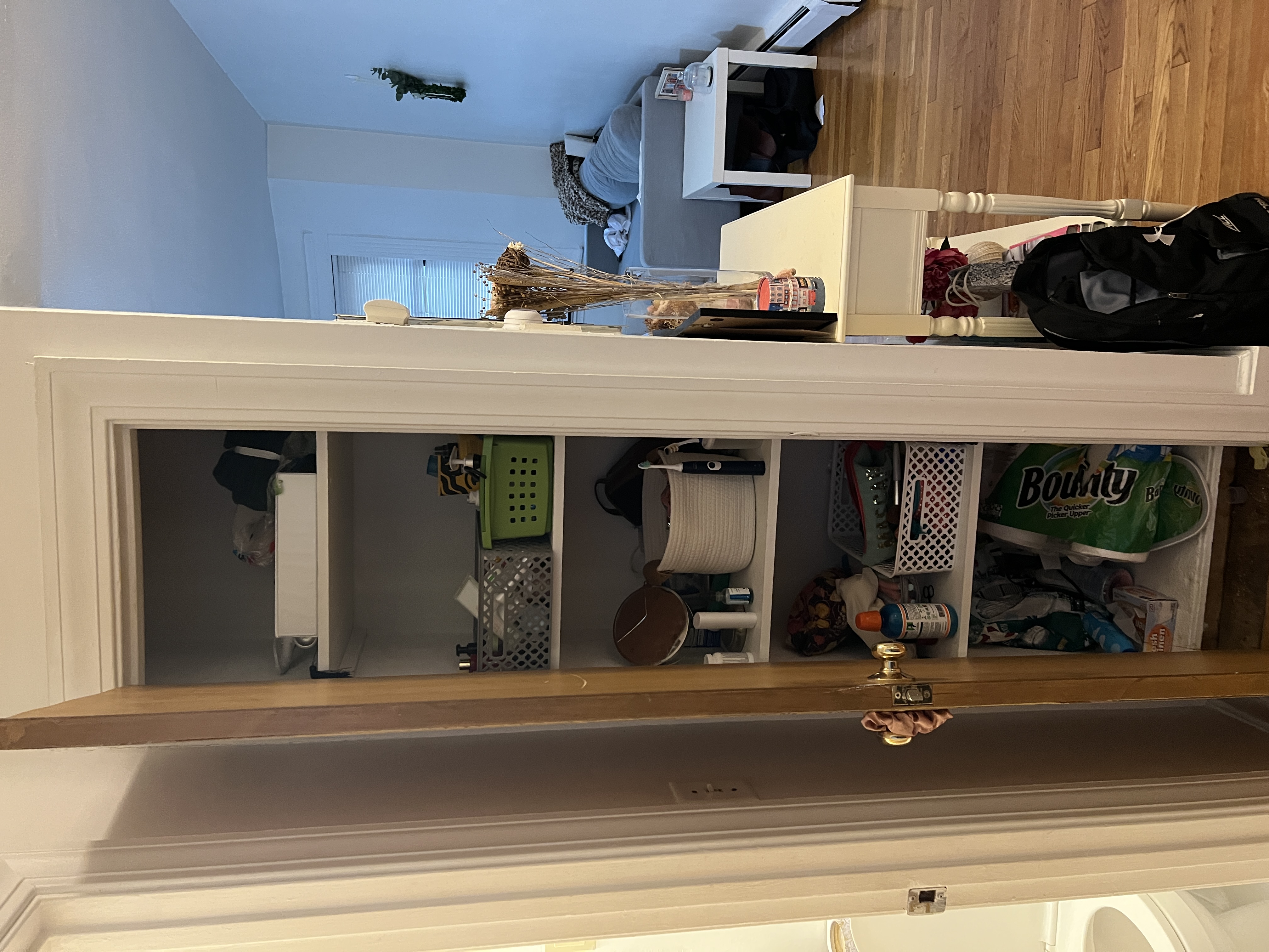 41 E Springfield, South End