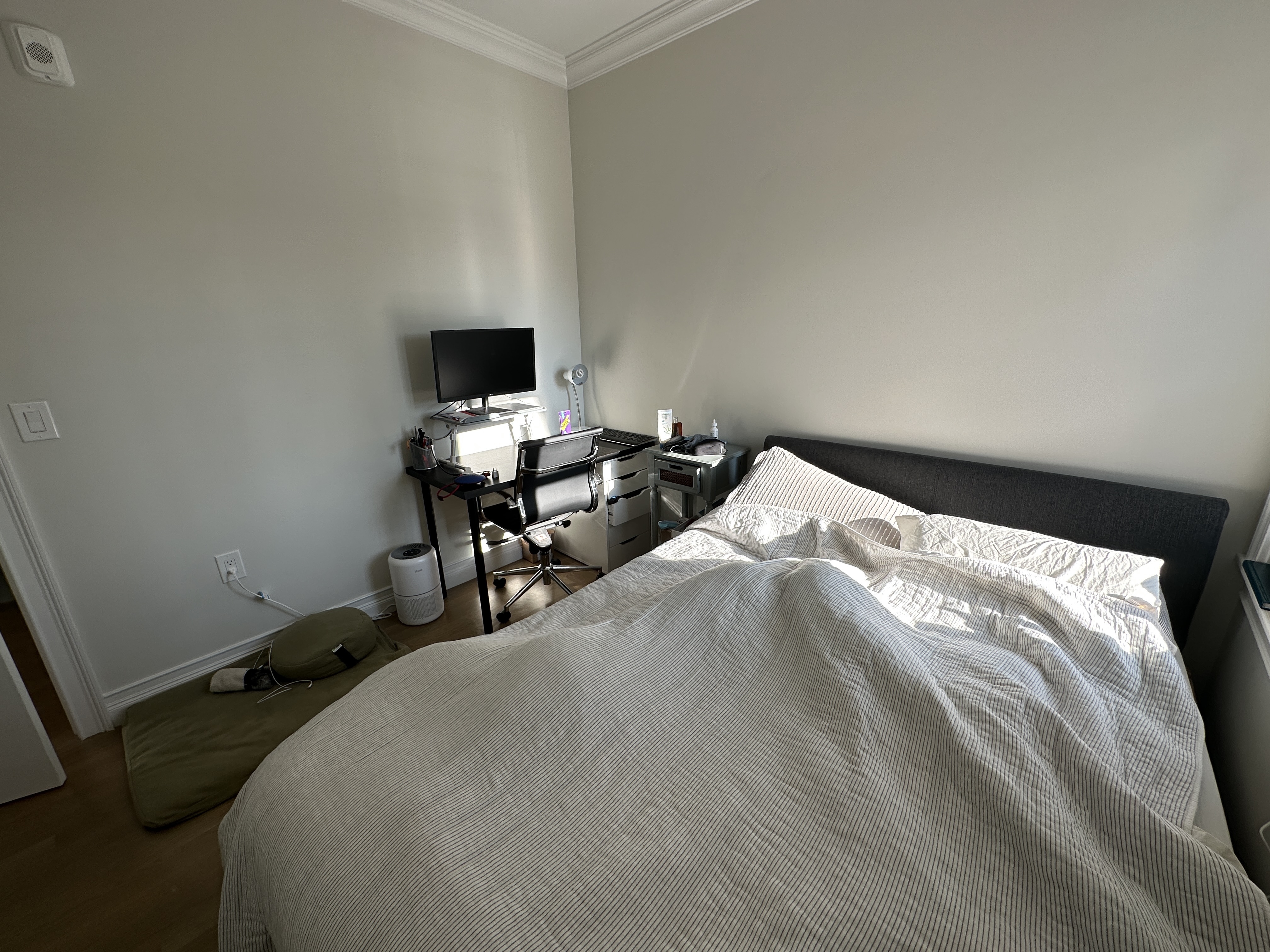 14 Mount Hood Rd, Brighton