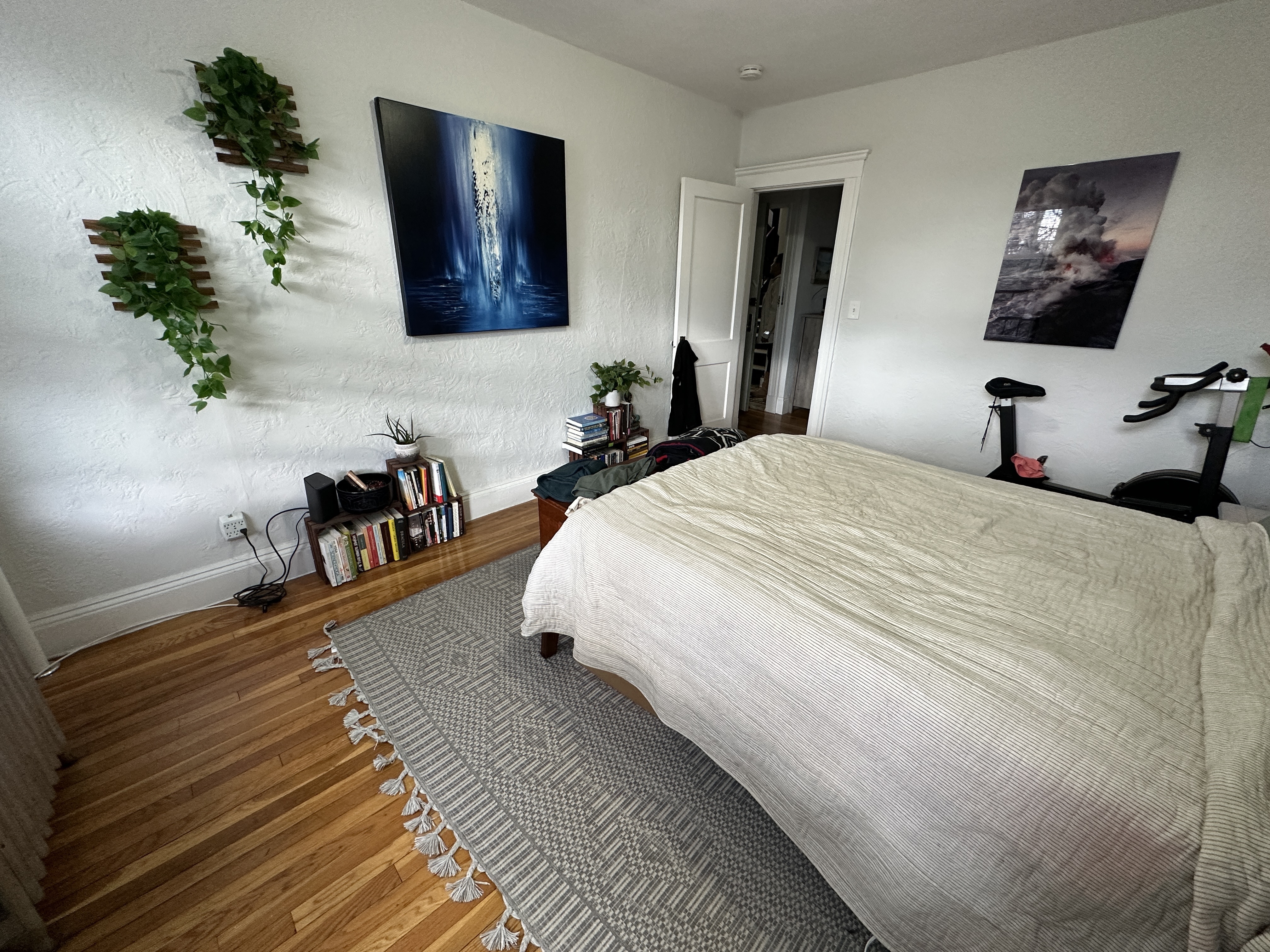 286 Chestnut Hill Ave, Brighton