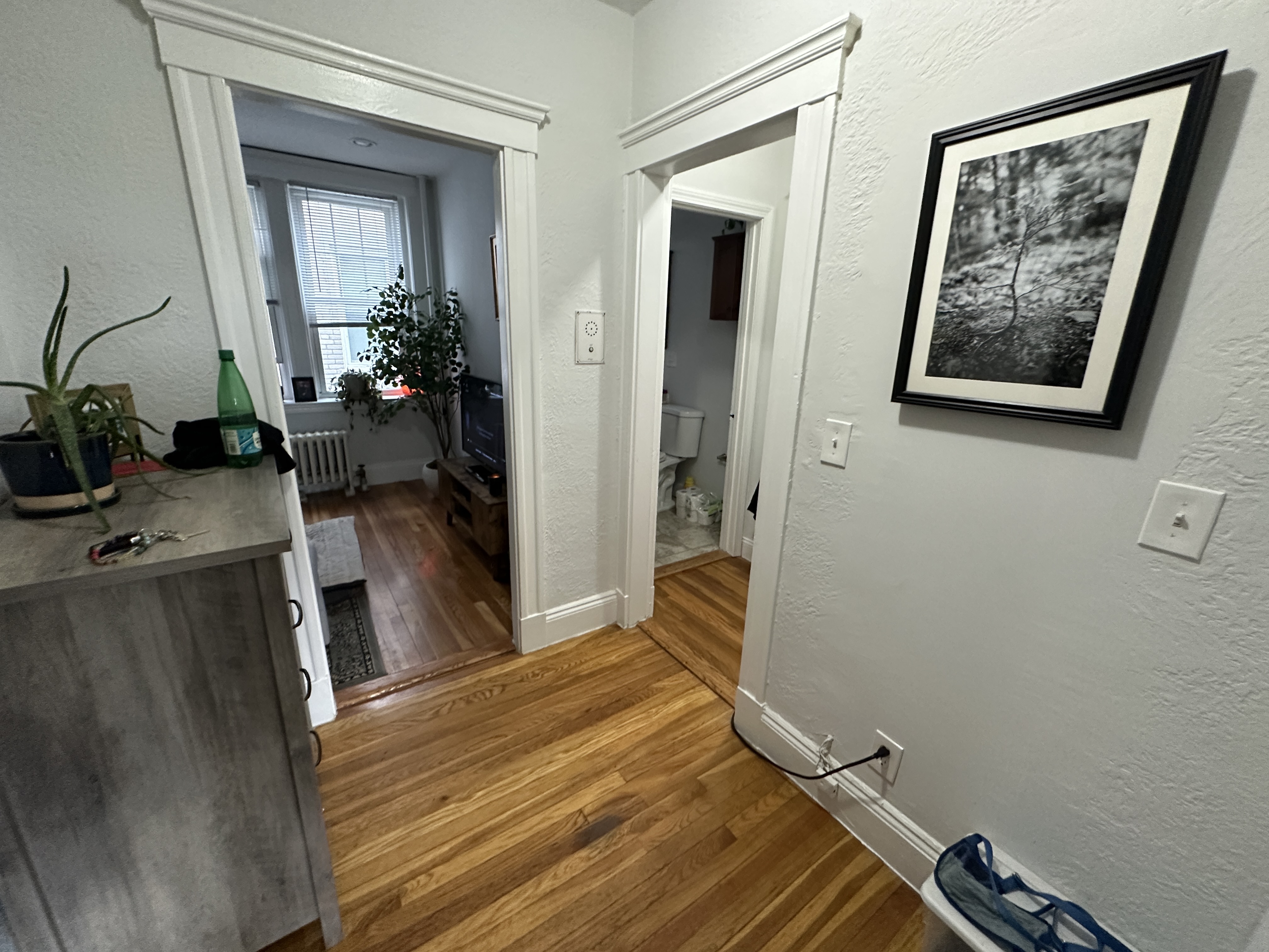 286 Chestnut Hill Ave, Brighton