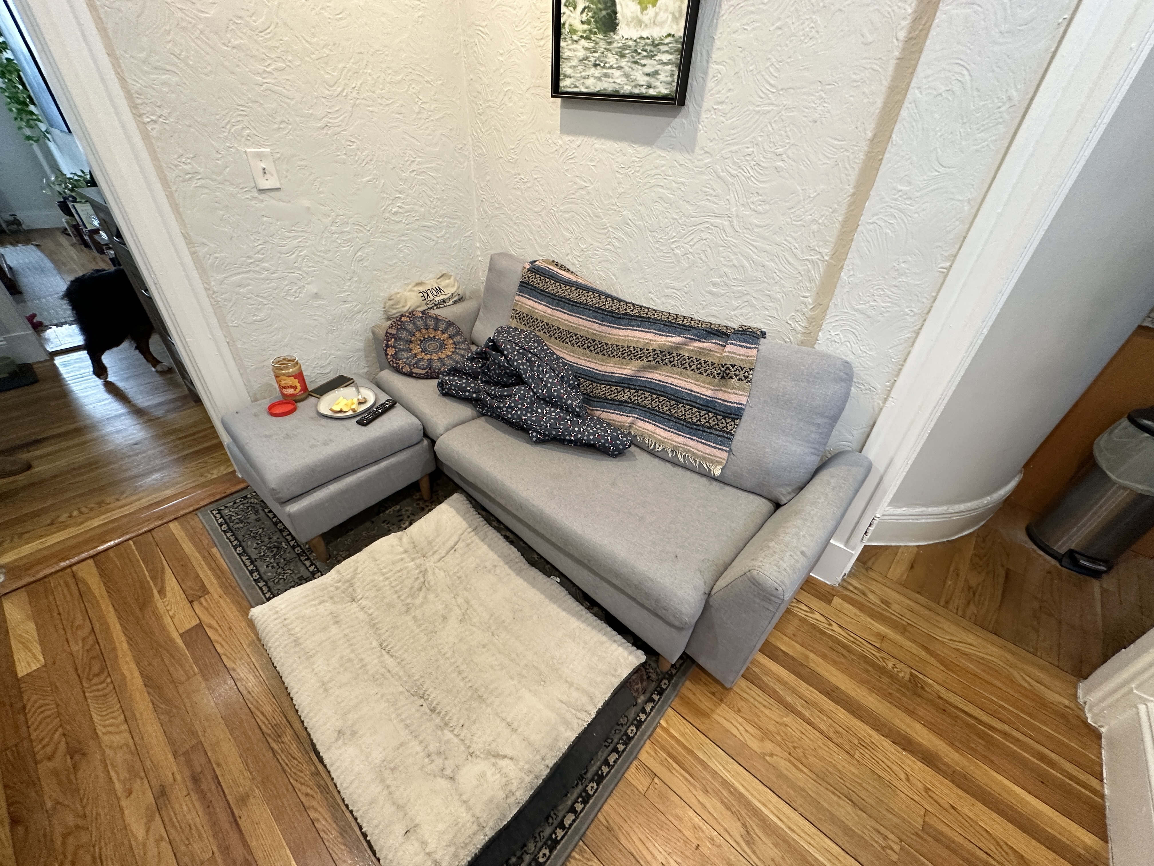 286 Chestnut Hill Ave, Brighton