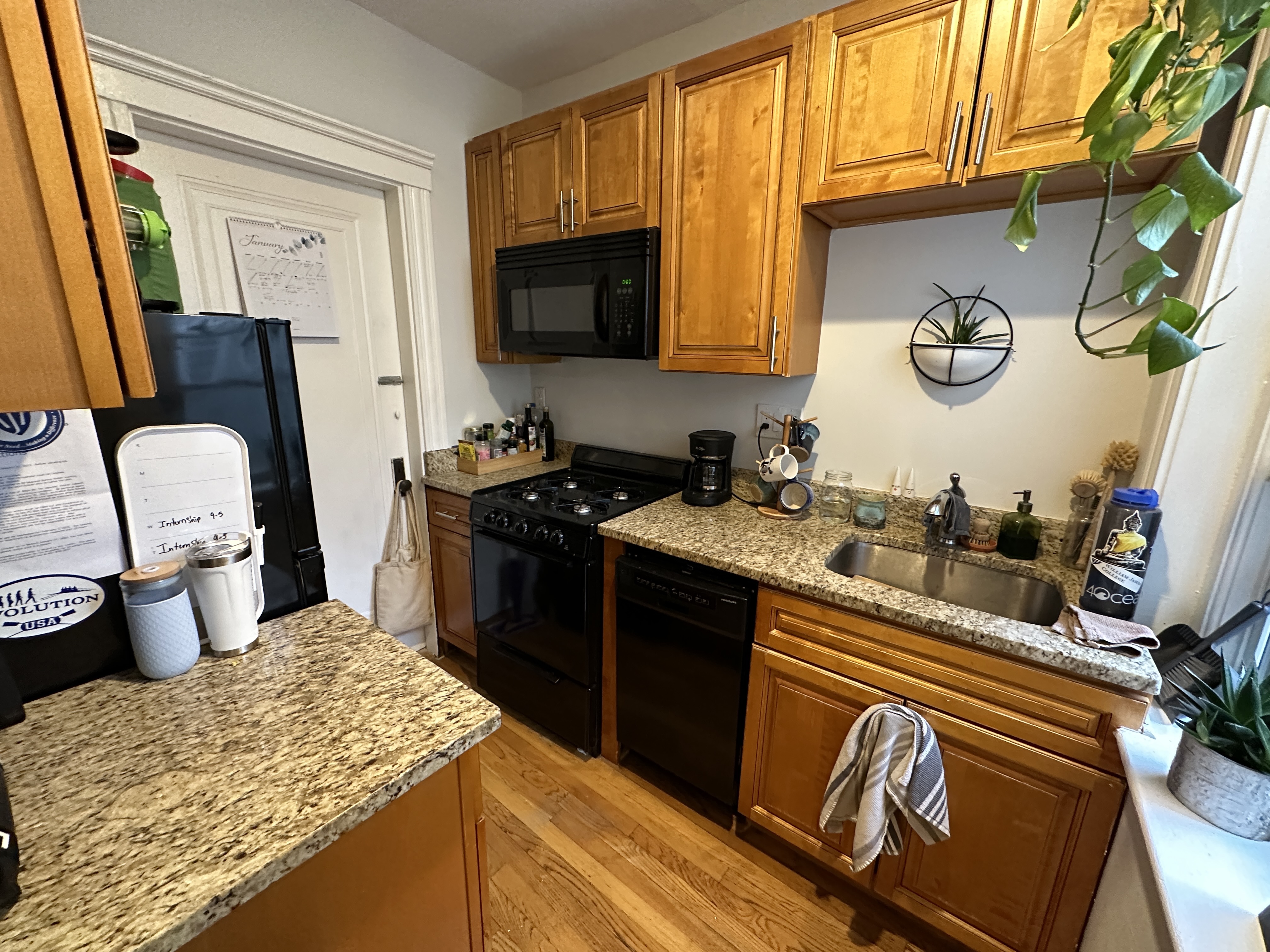 286 Chestnut Hill Ave, Brighton