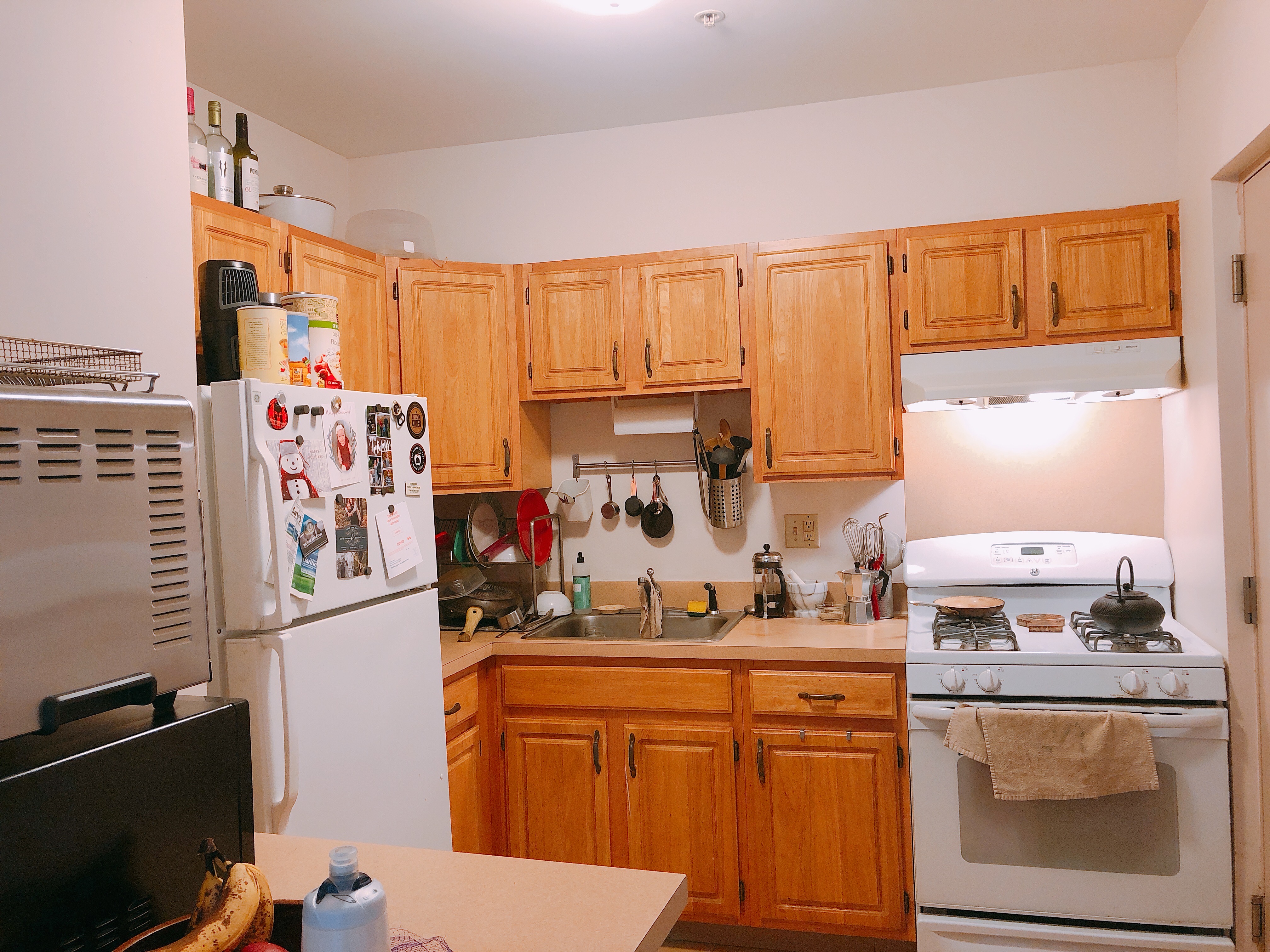 71 Westland Ave, Fenway