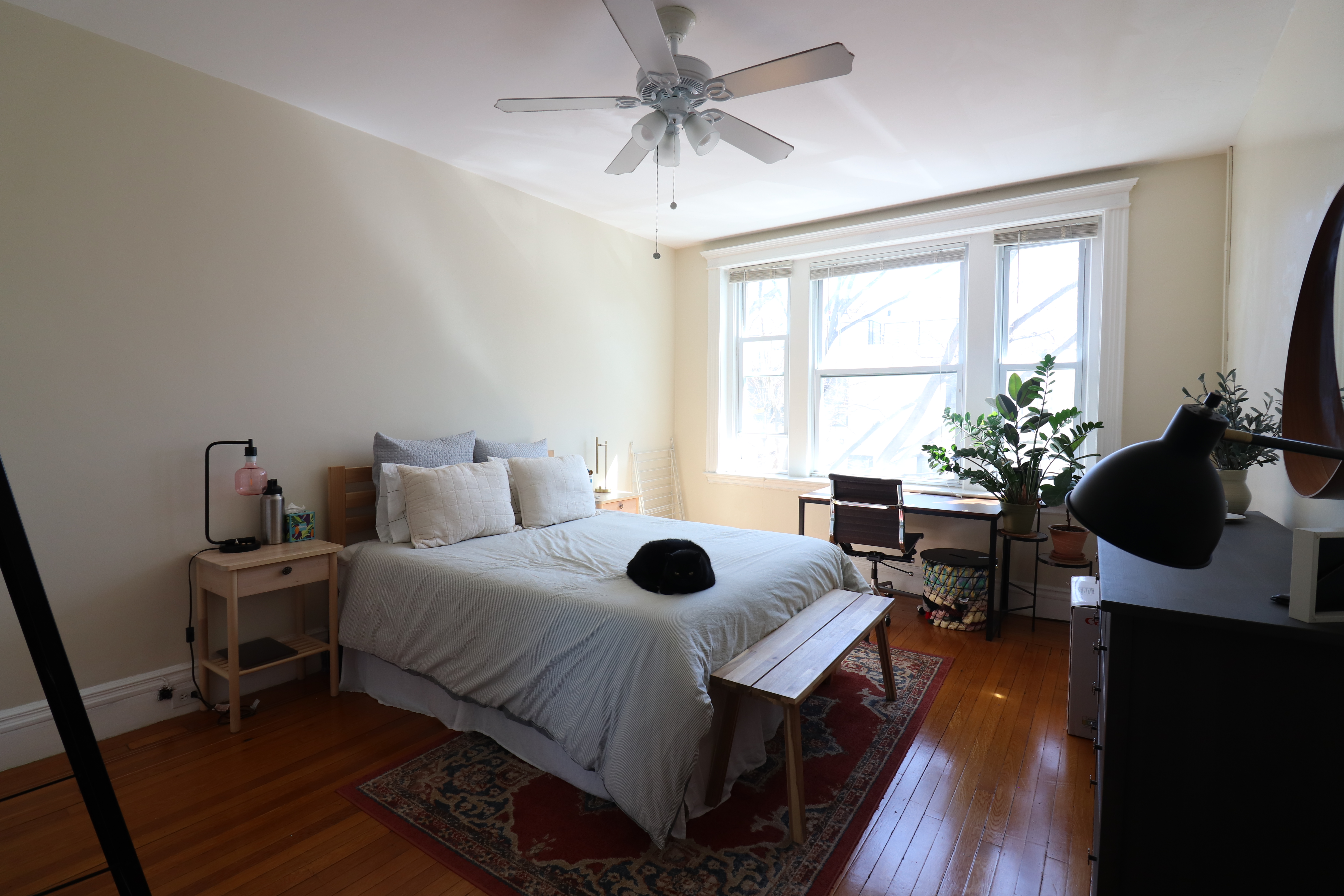 30 Littell Rd, Coolidge Corner