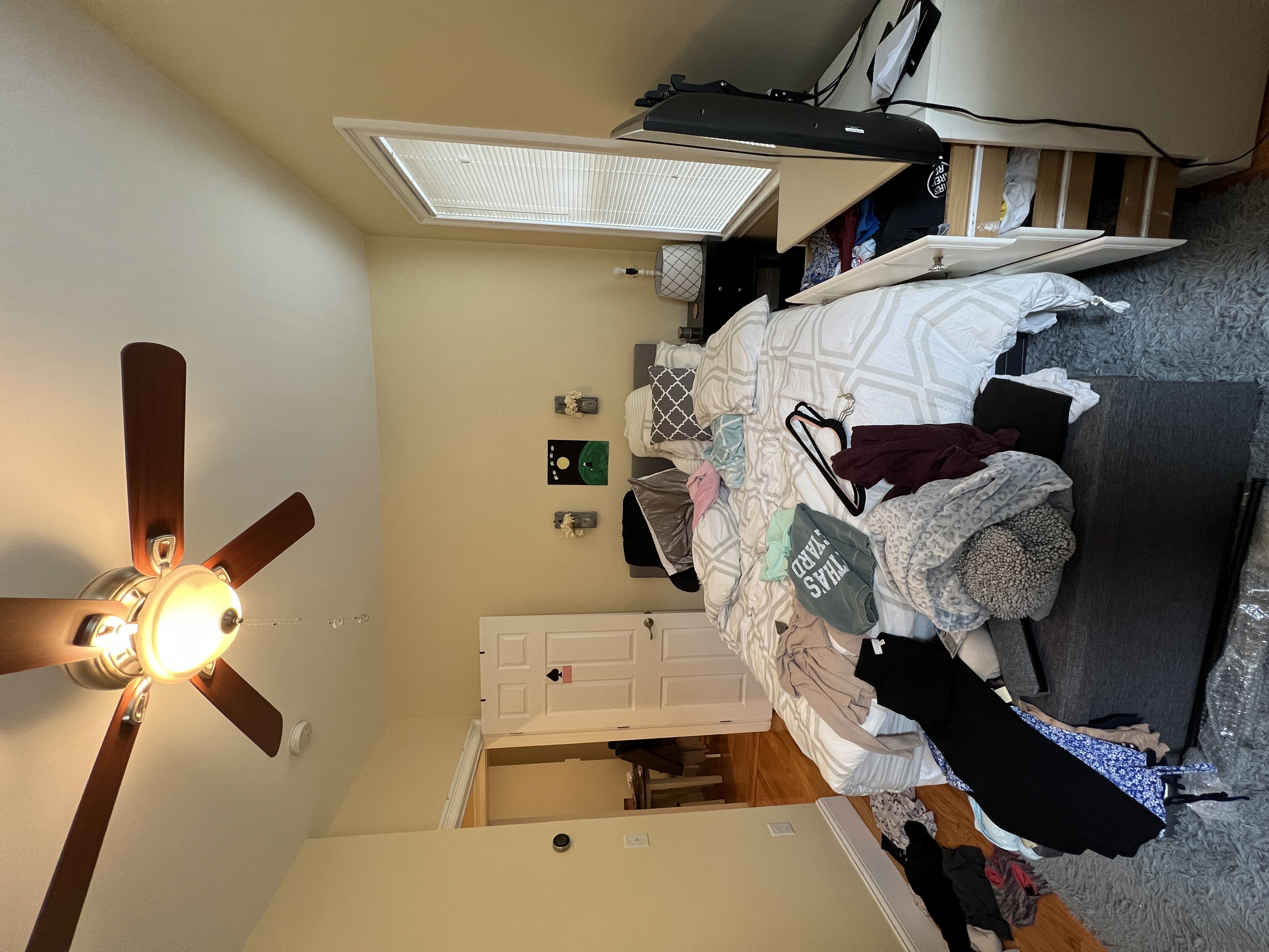 25 Macarthur St, East Somerville