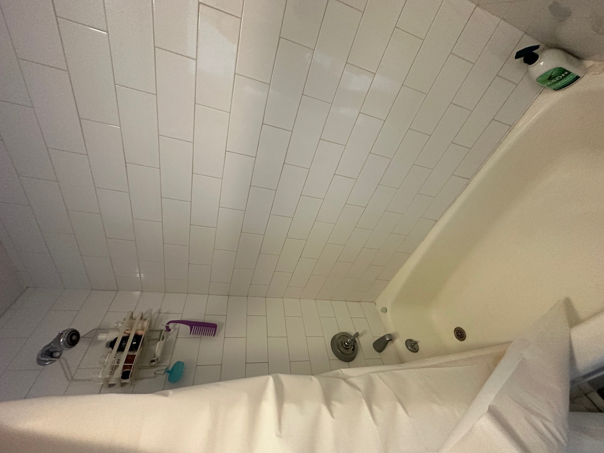 108 Myrtle St, Beacon Hill