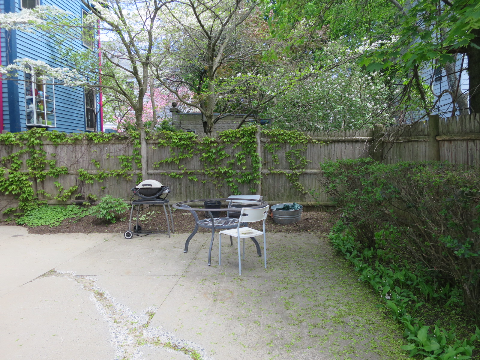 16 Park Ave, Davis Square