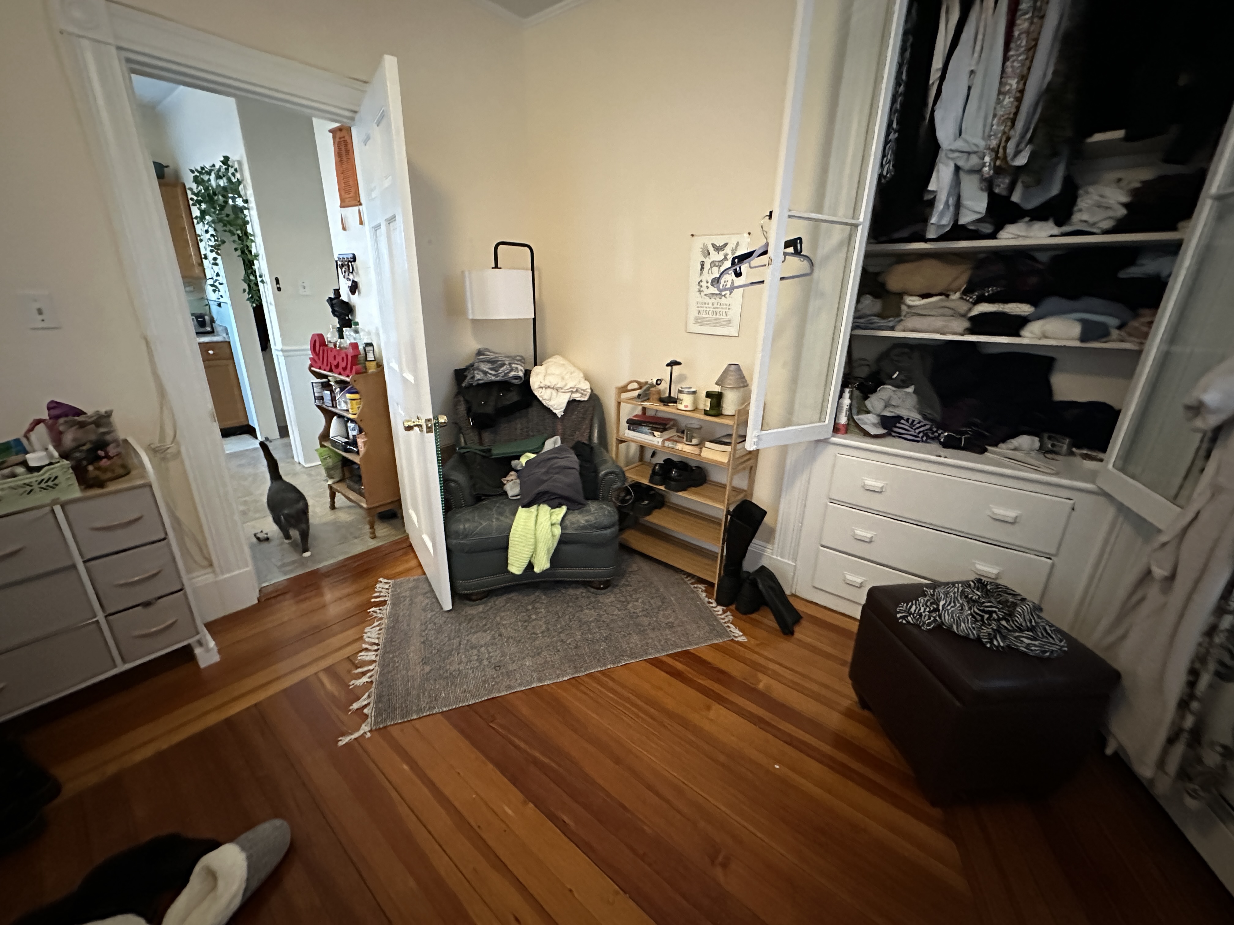 84 P St, South Boston