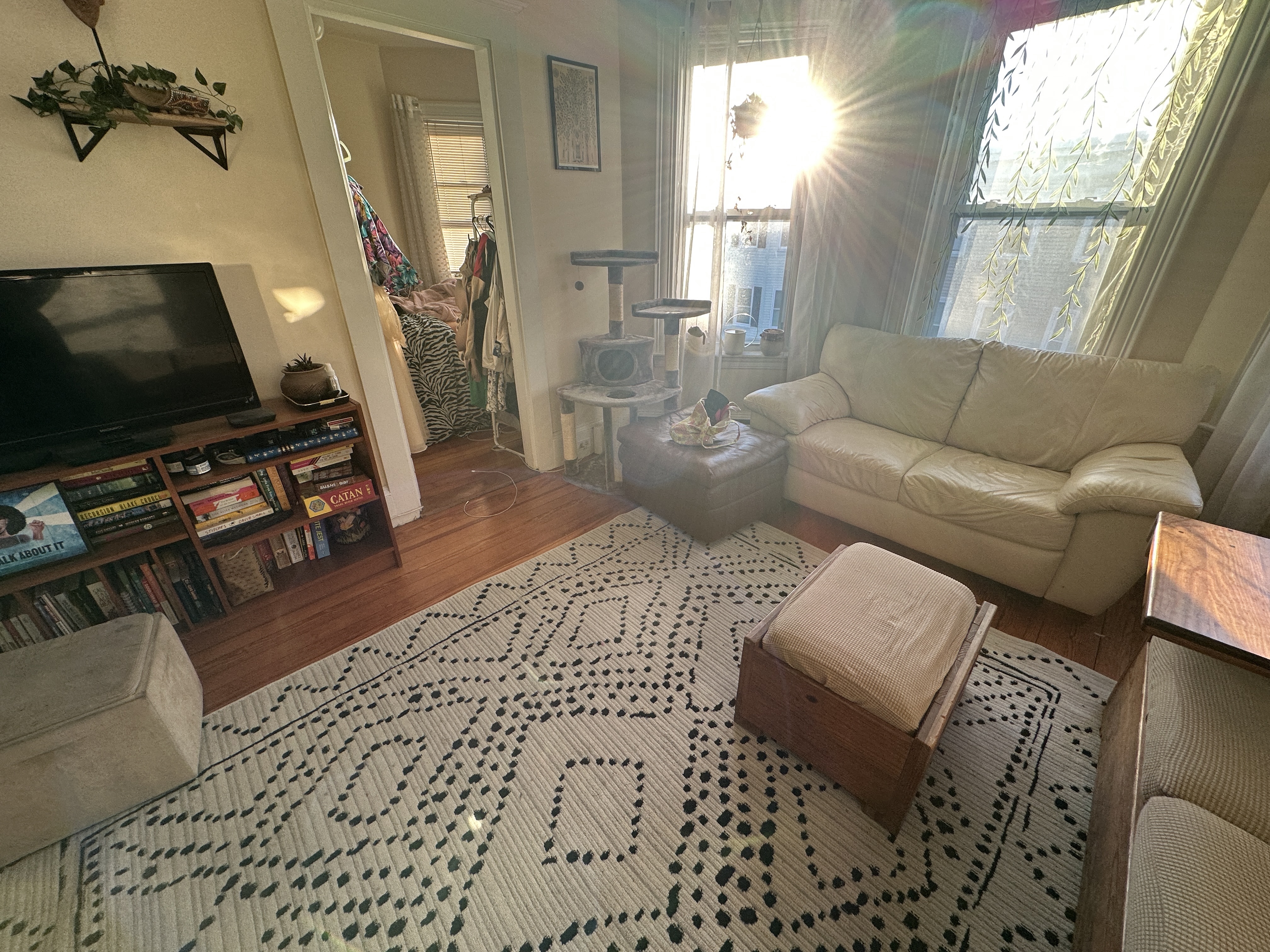 84 P St, South Boston