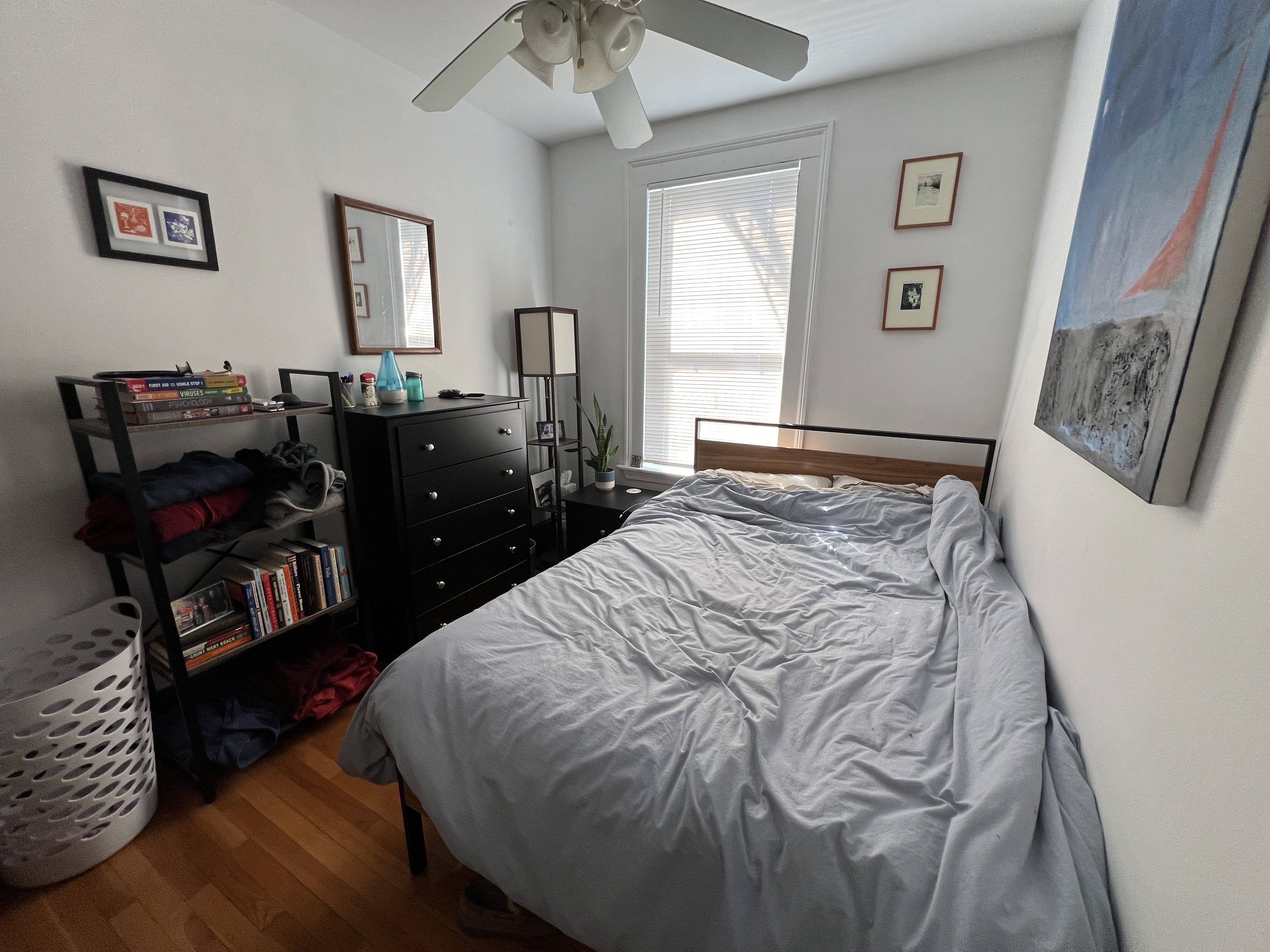 39 East Springfield St, South End