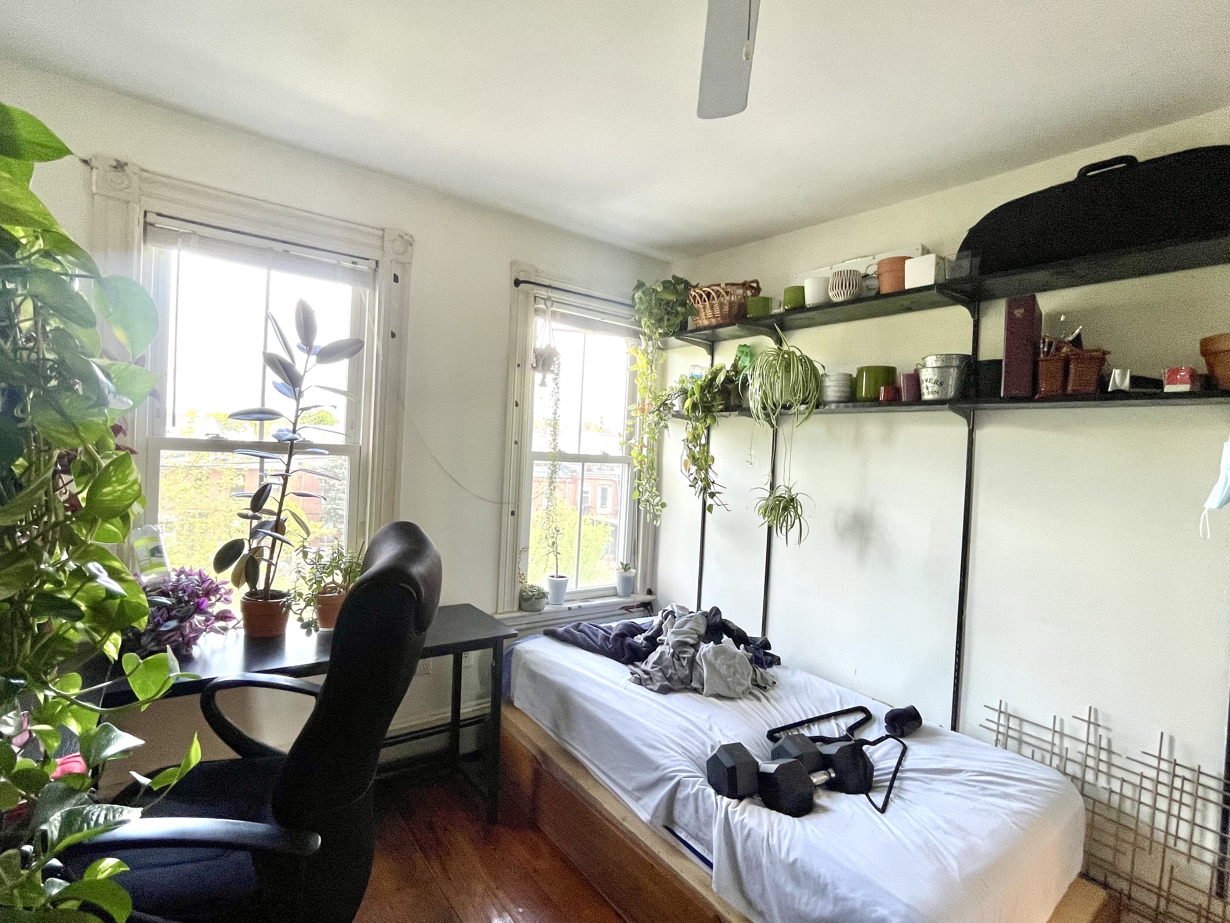 6 Mead St, Lower Allston