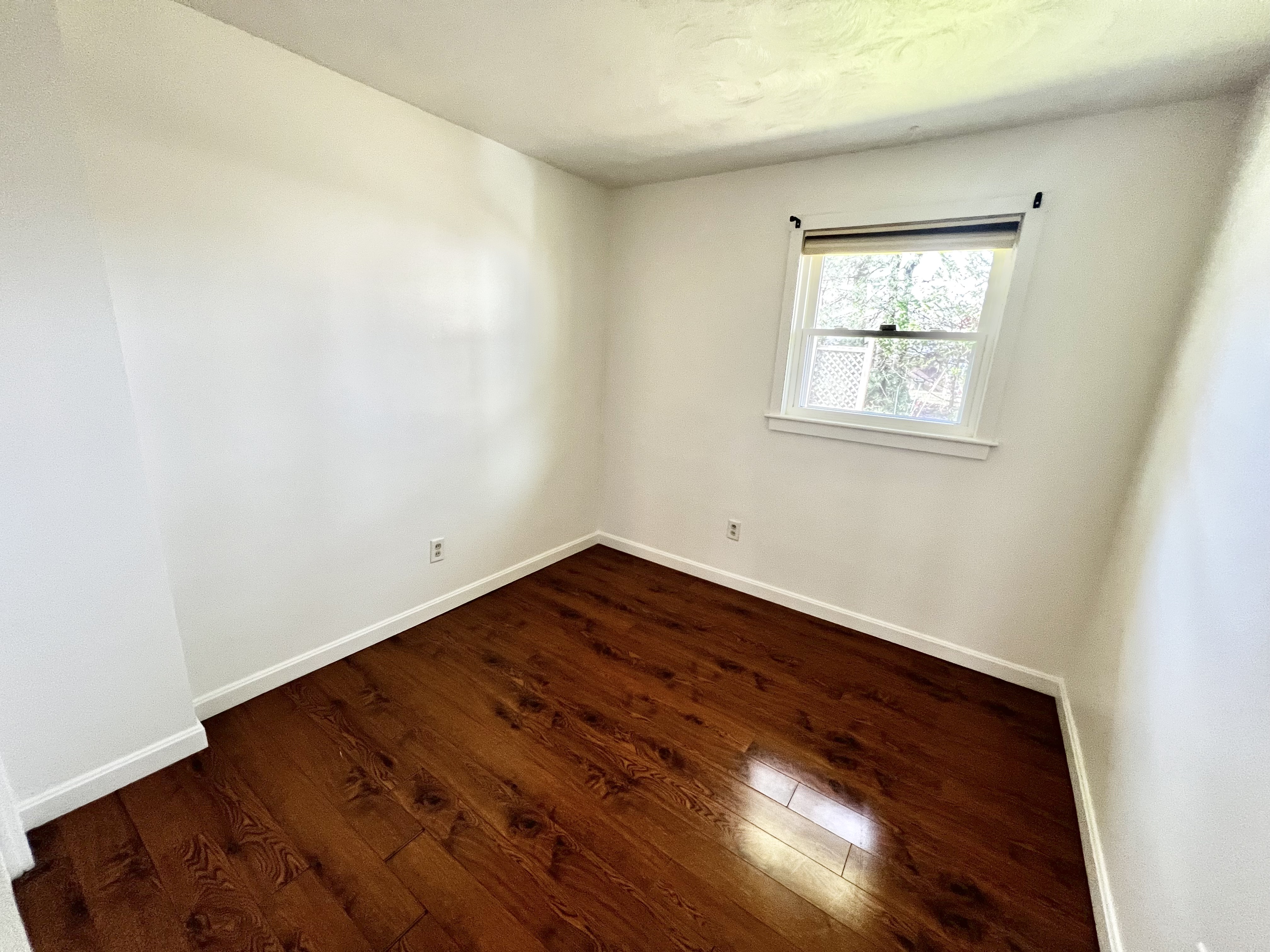 216 Elsie Rd, Brockton