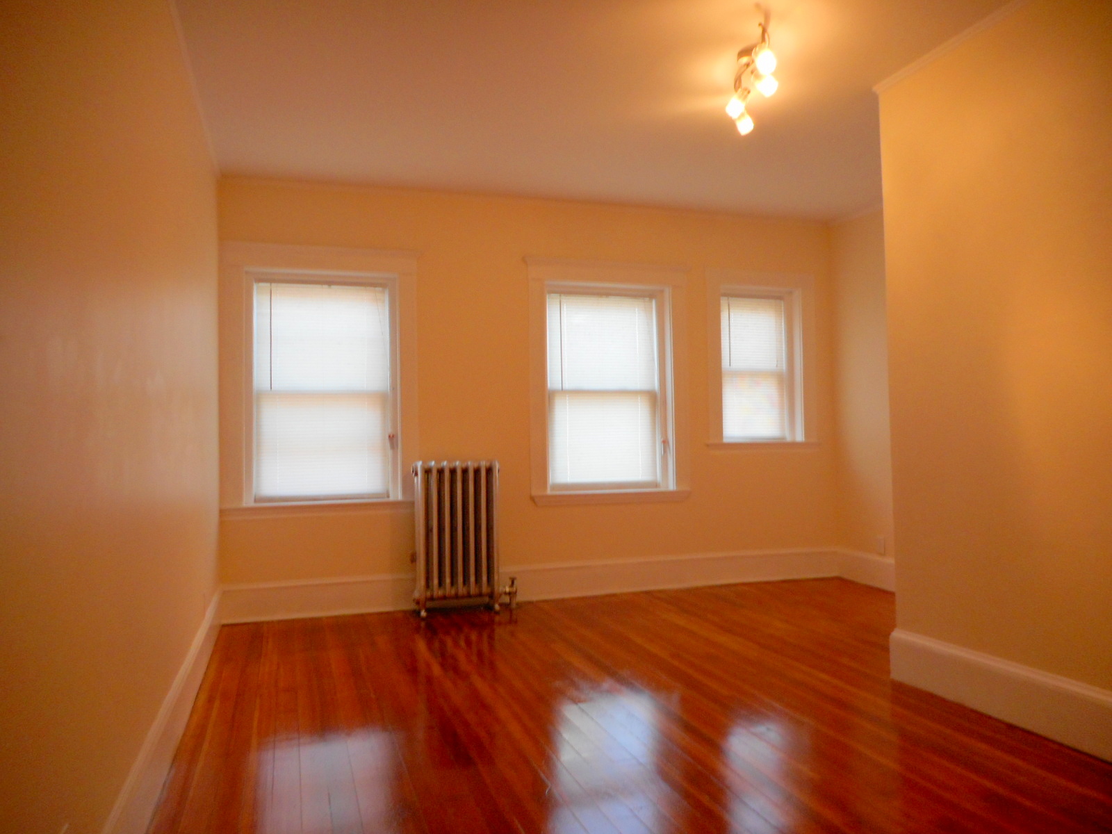 264 Aspinwall Ave, Riverway Island