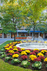 44 Washington St, Brookline Village