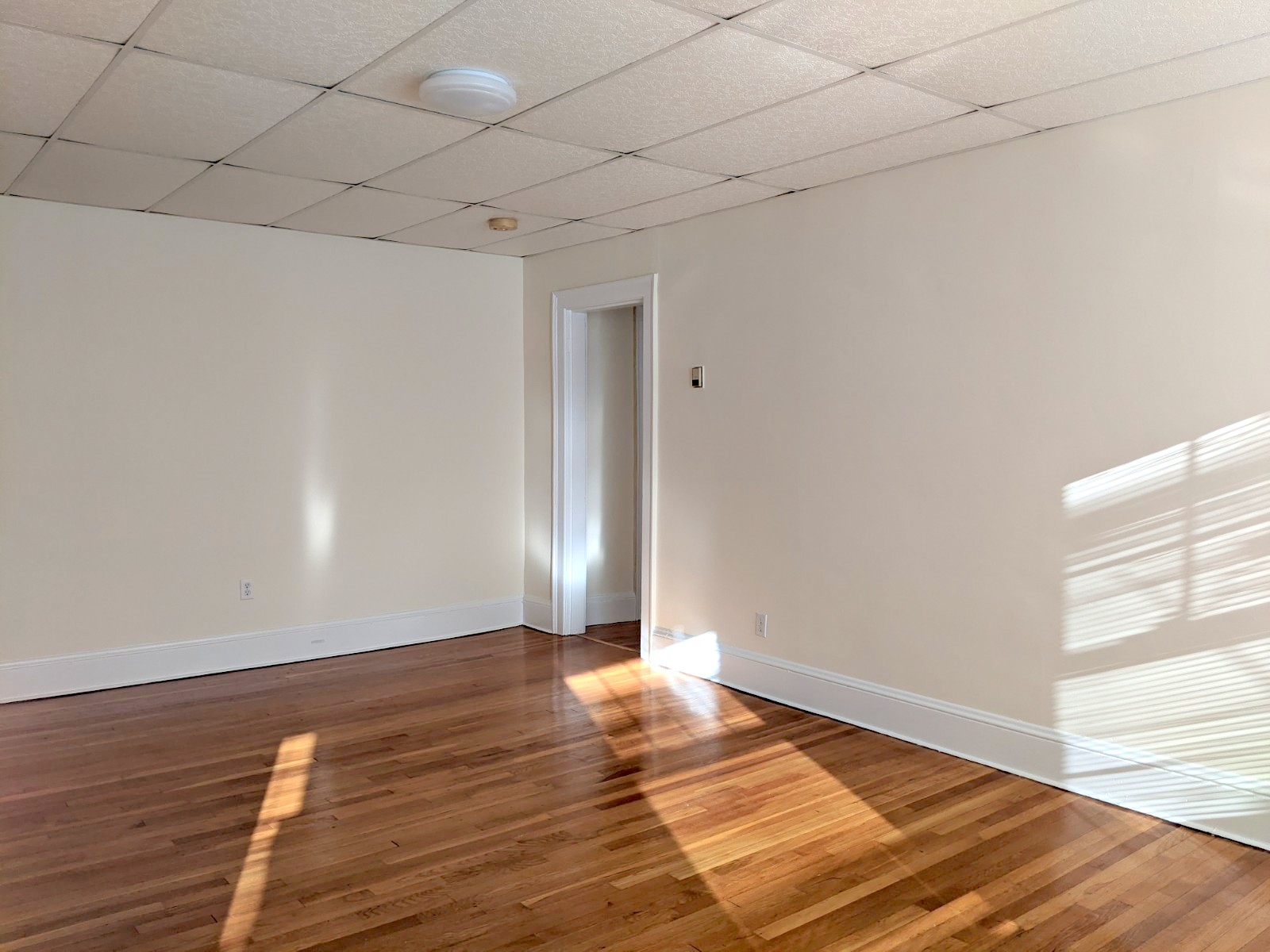 36 College Ave, Davis Square