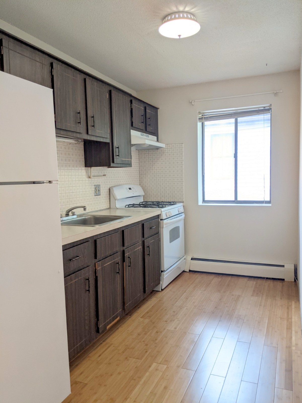 12 Cameron Ave, Davis Square