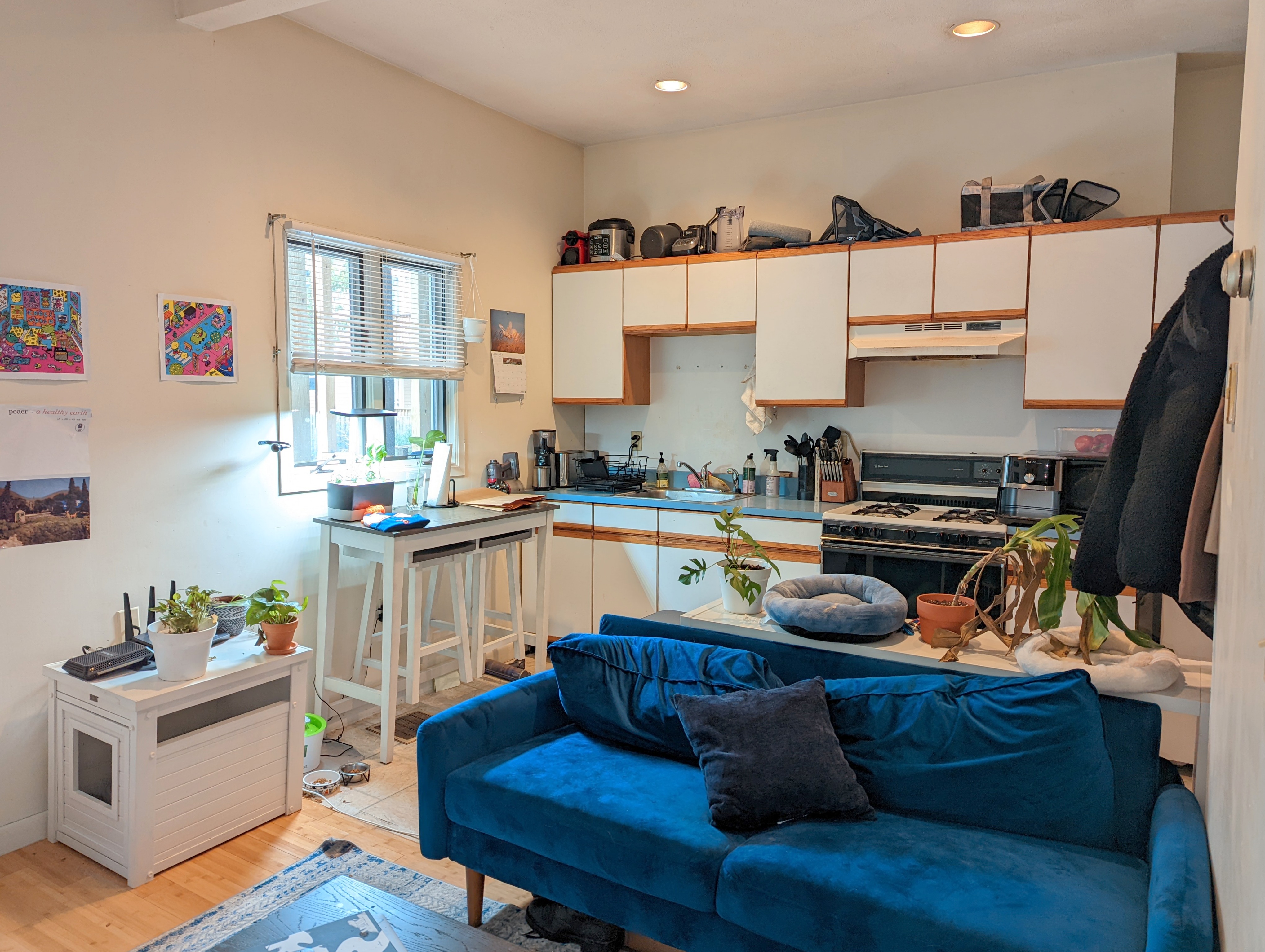 6 Evergreen Sq, Porter Square