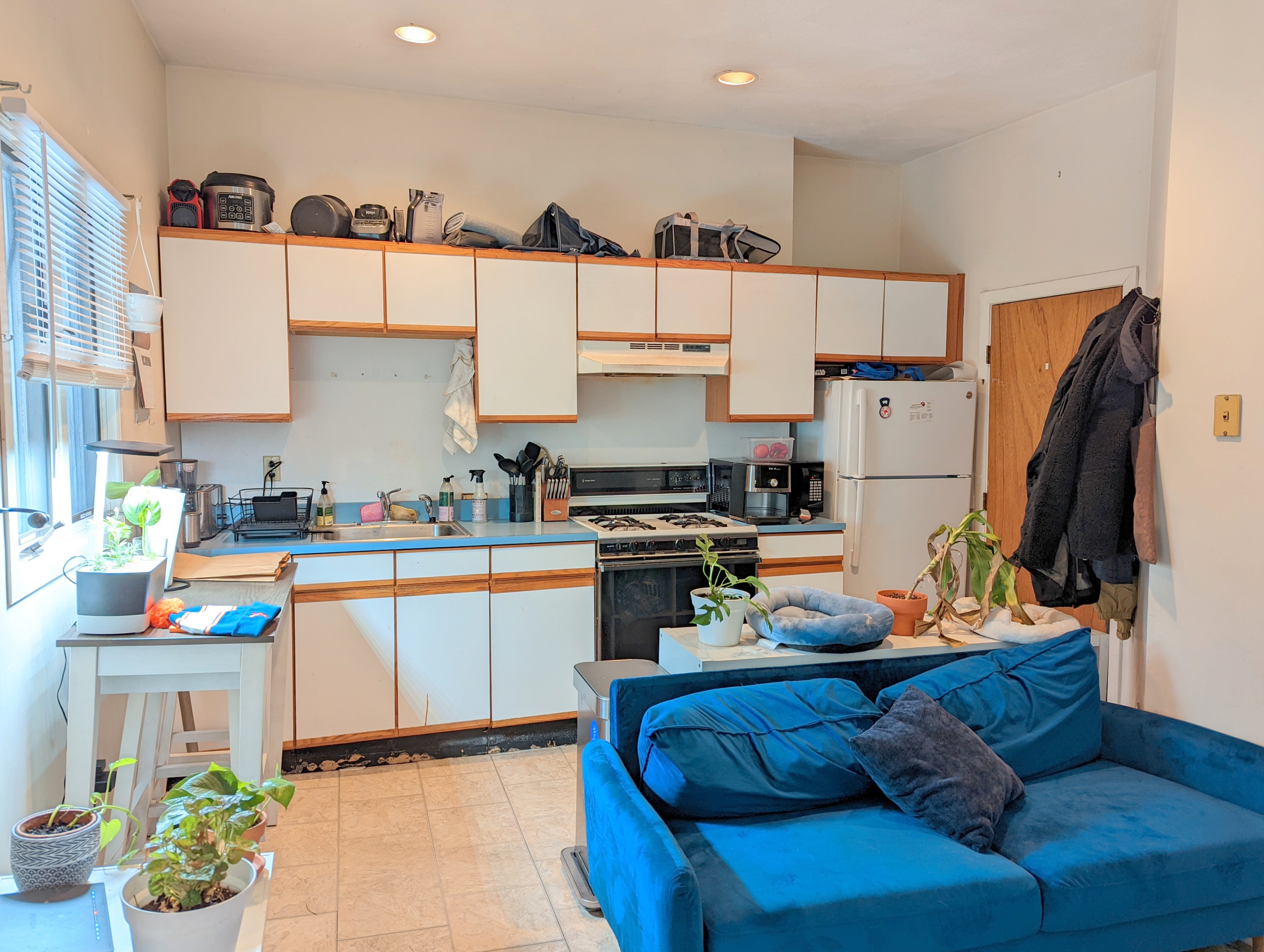 6 Evergreen Sq, Porter Square