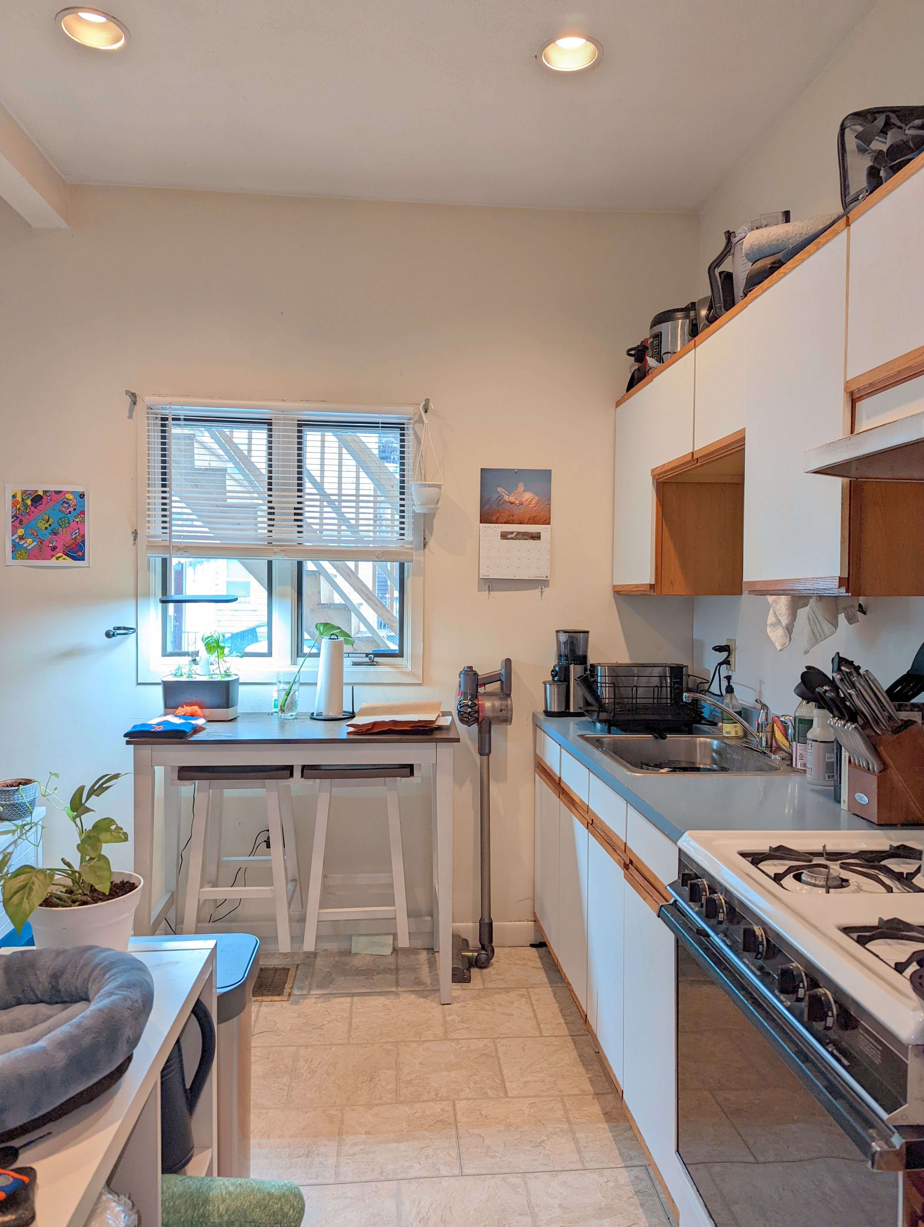 6 Evergreen Sq, Porter Square