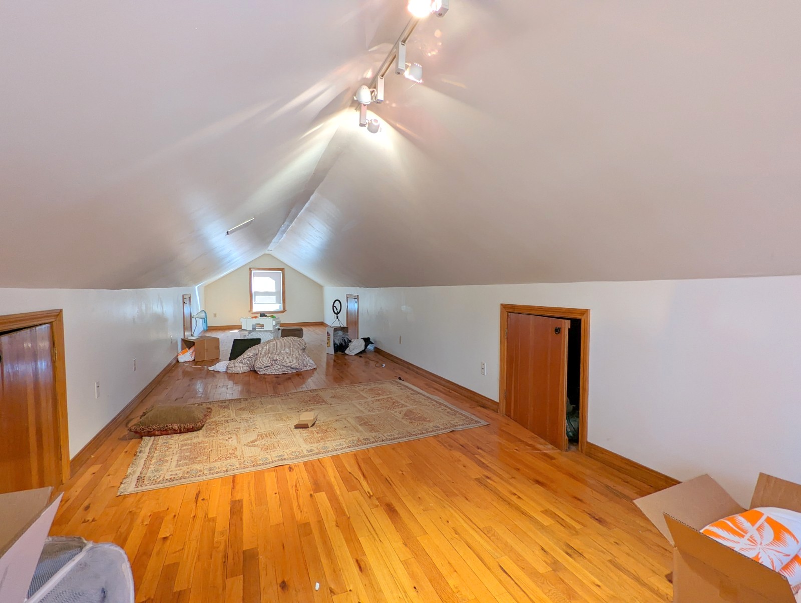 23 Boulevard Rd, Arlington