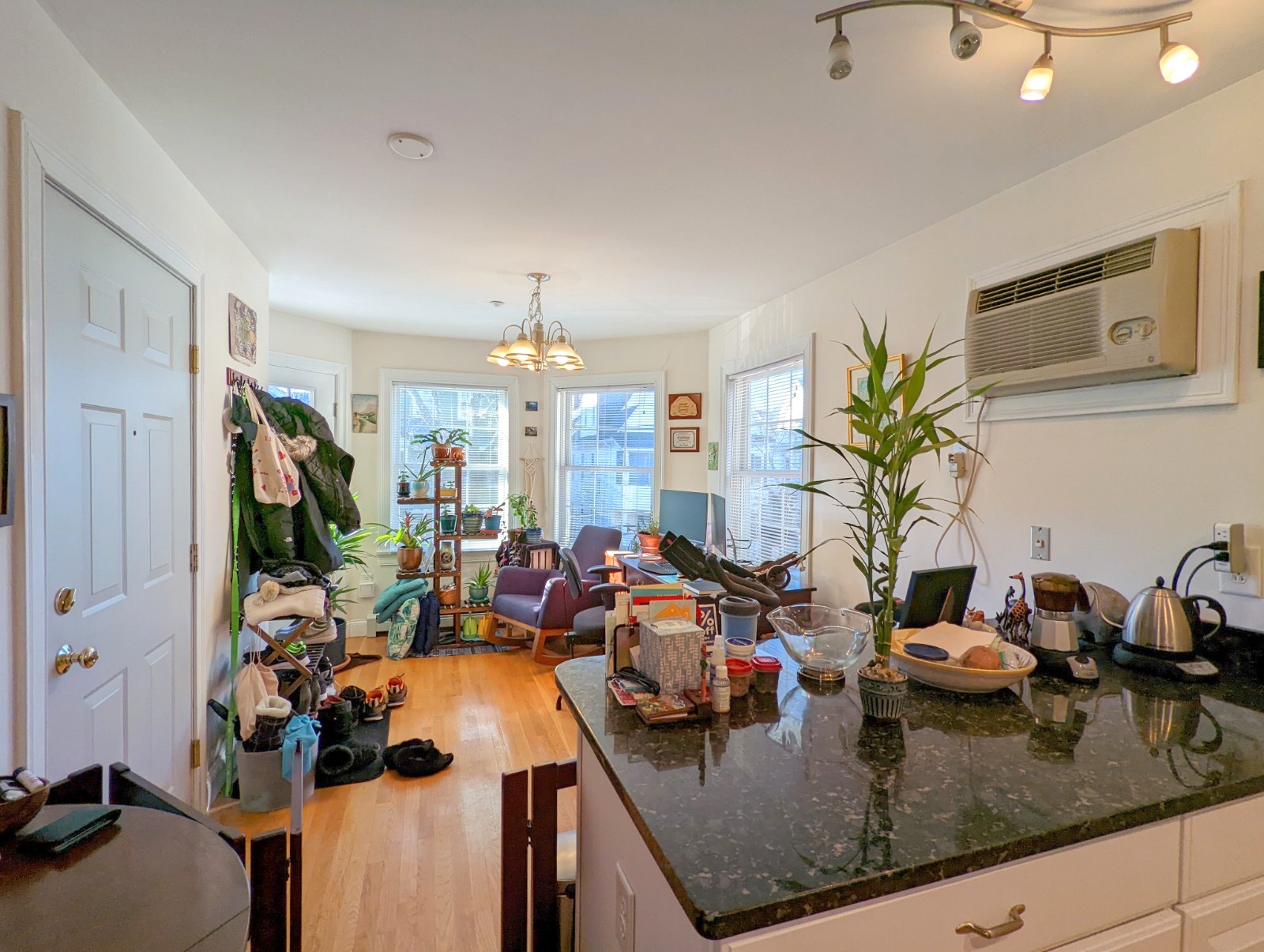 91 Pearson Ave, Davis Square